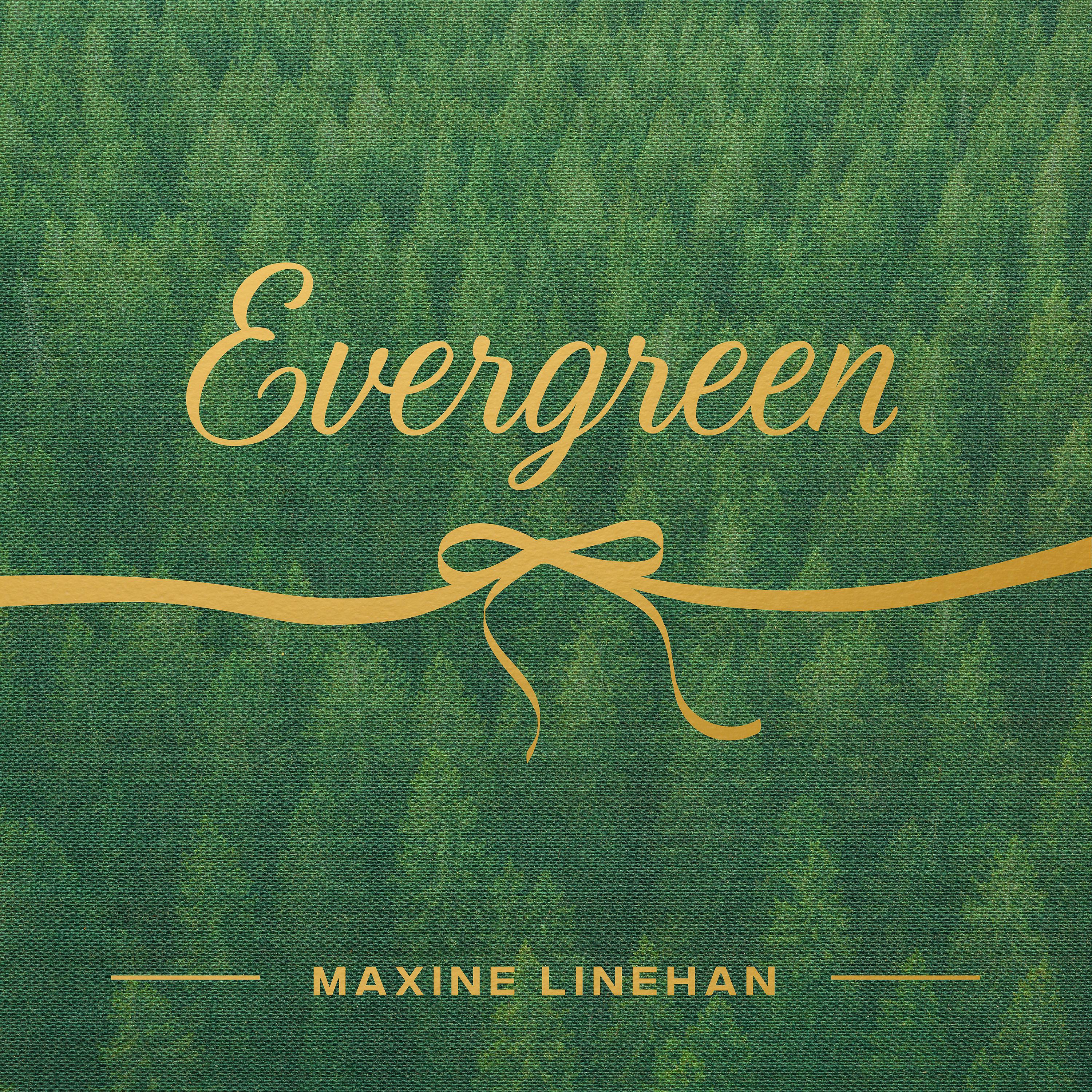 Постер альбома Evergreen (Single)