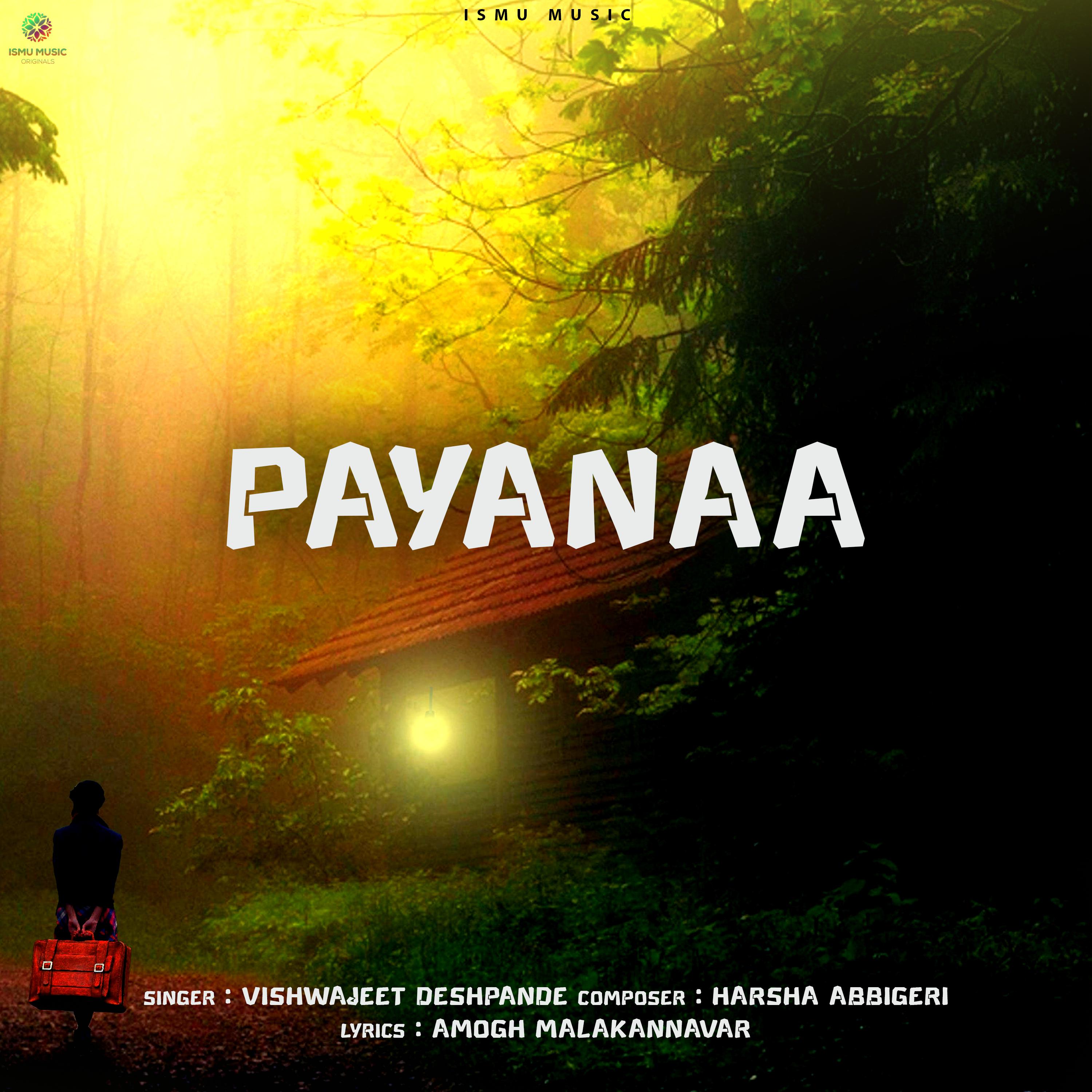 Постер альбома Payana