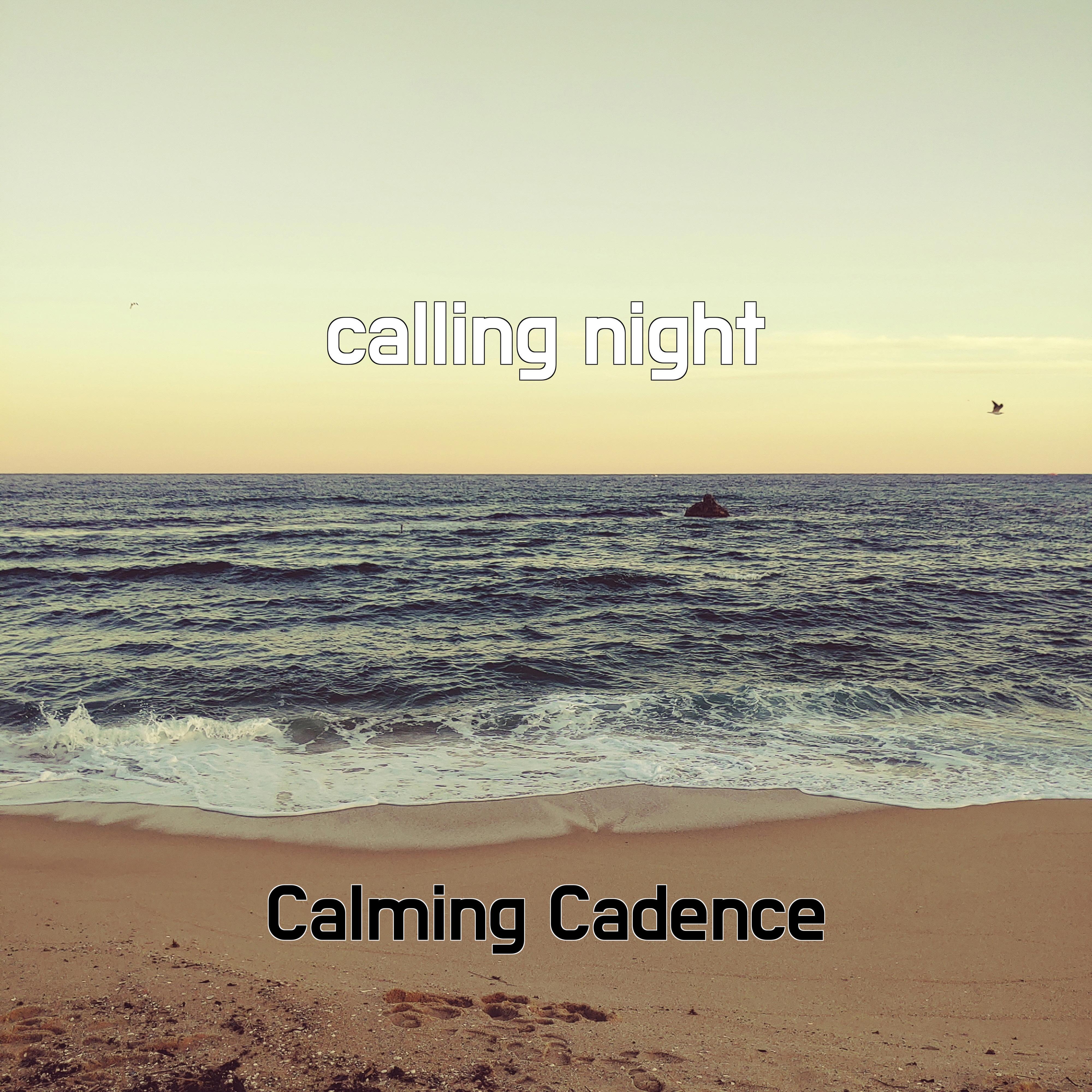Постер альбома calling night