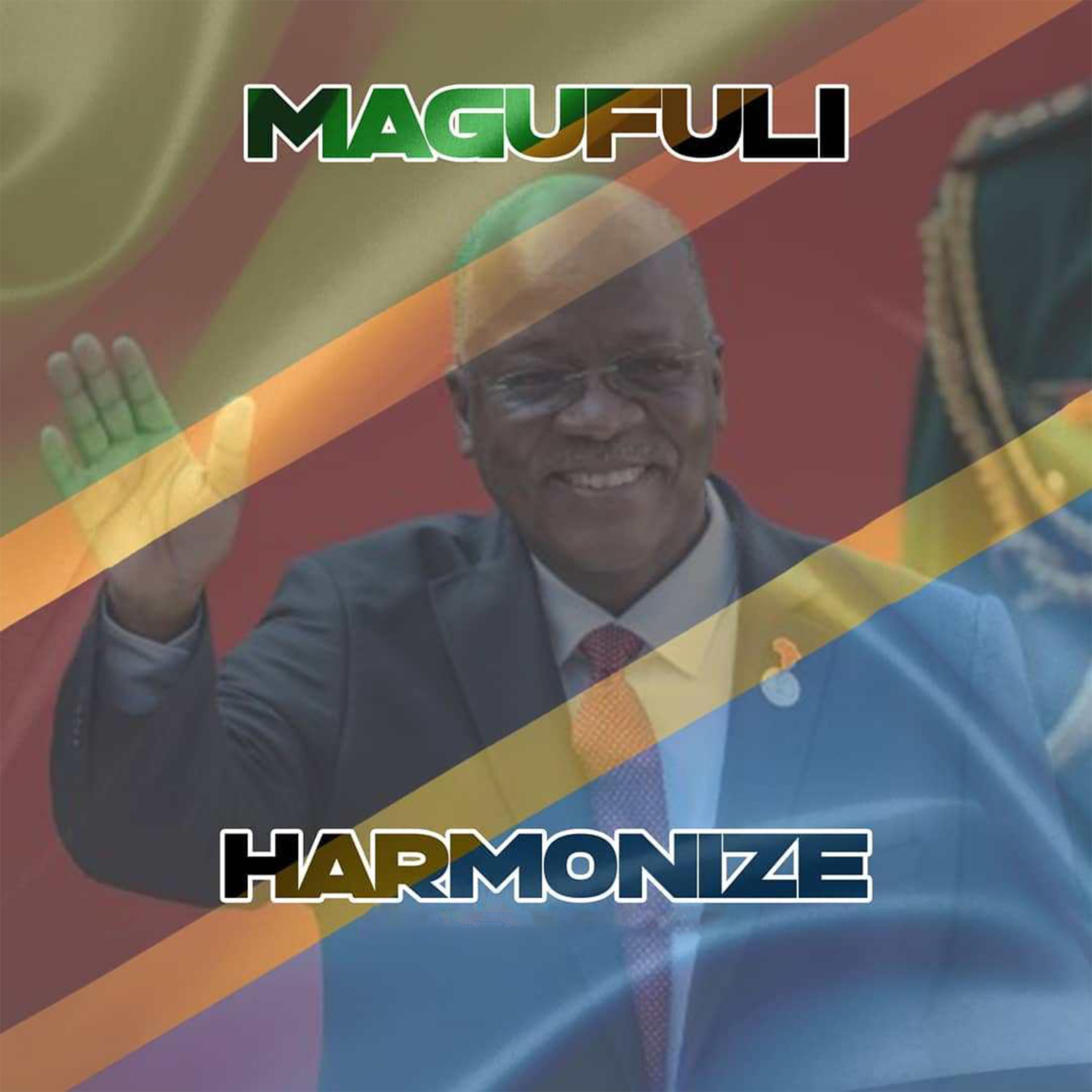 Постер альбома Magufuli