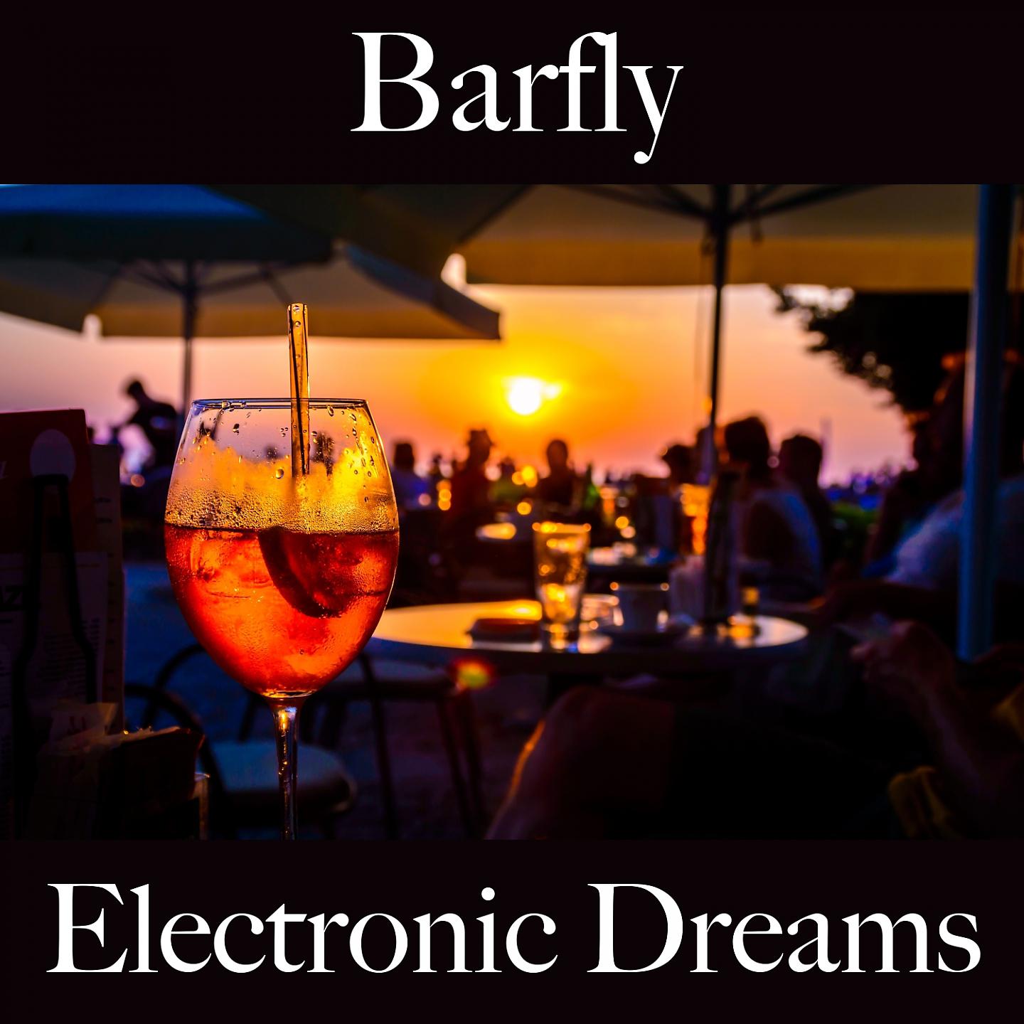 Постер альбома Barfly: Electronic Dreams - The Best Sounds For Relaxation