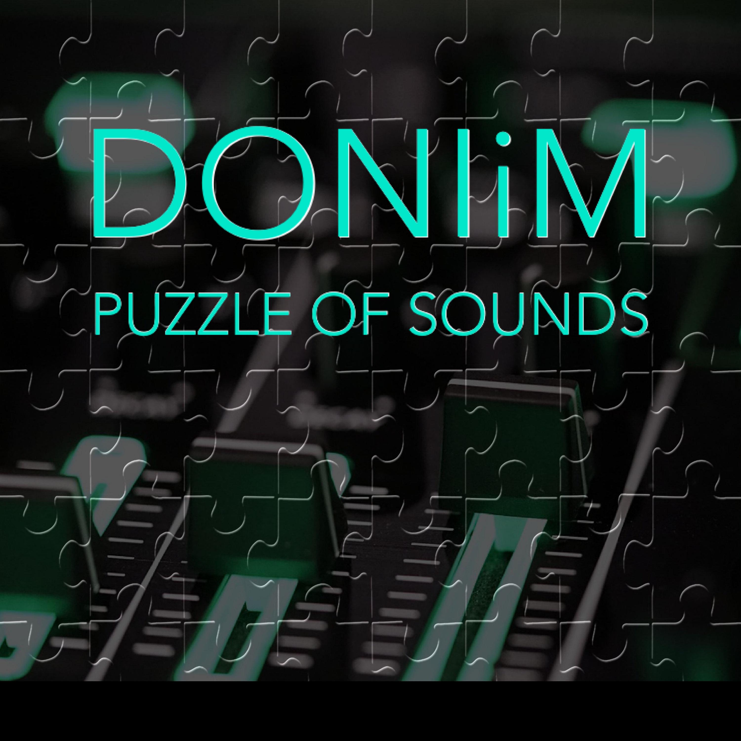 Постер альбома Puzzle Of Sounds