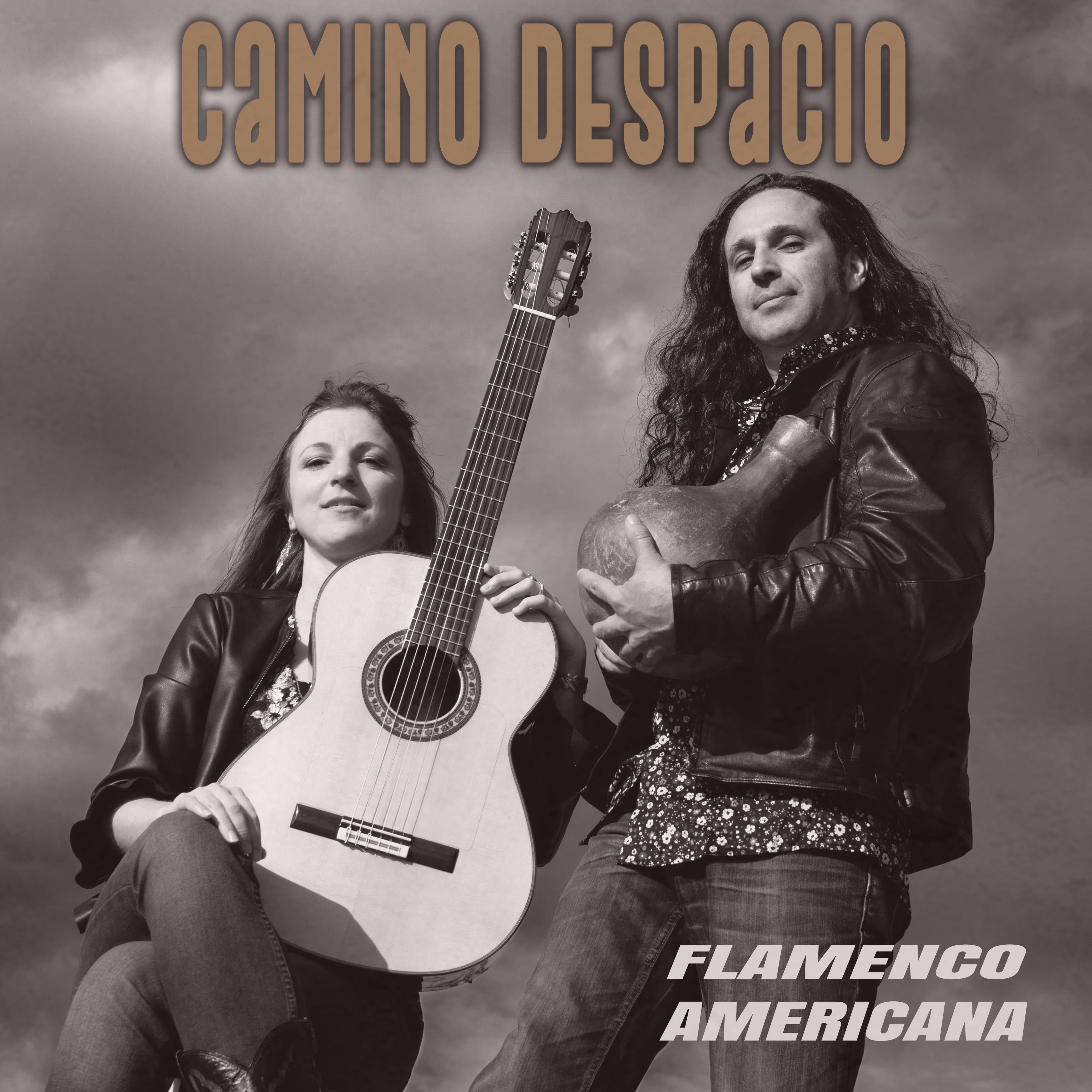 Постер альбома Camino Despacio