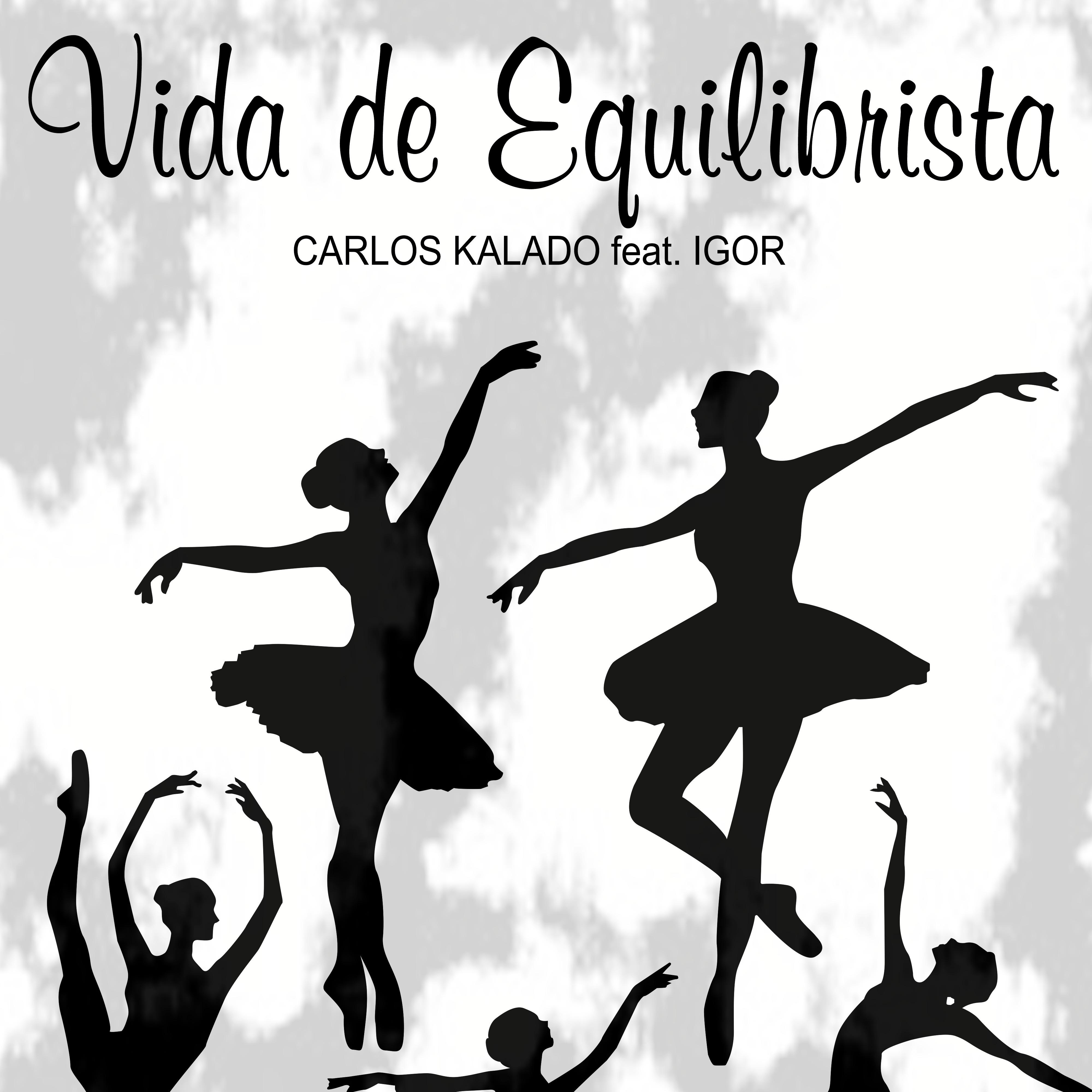 Постер альбома Vida de Equilibrista