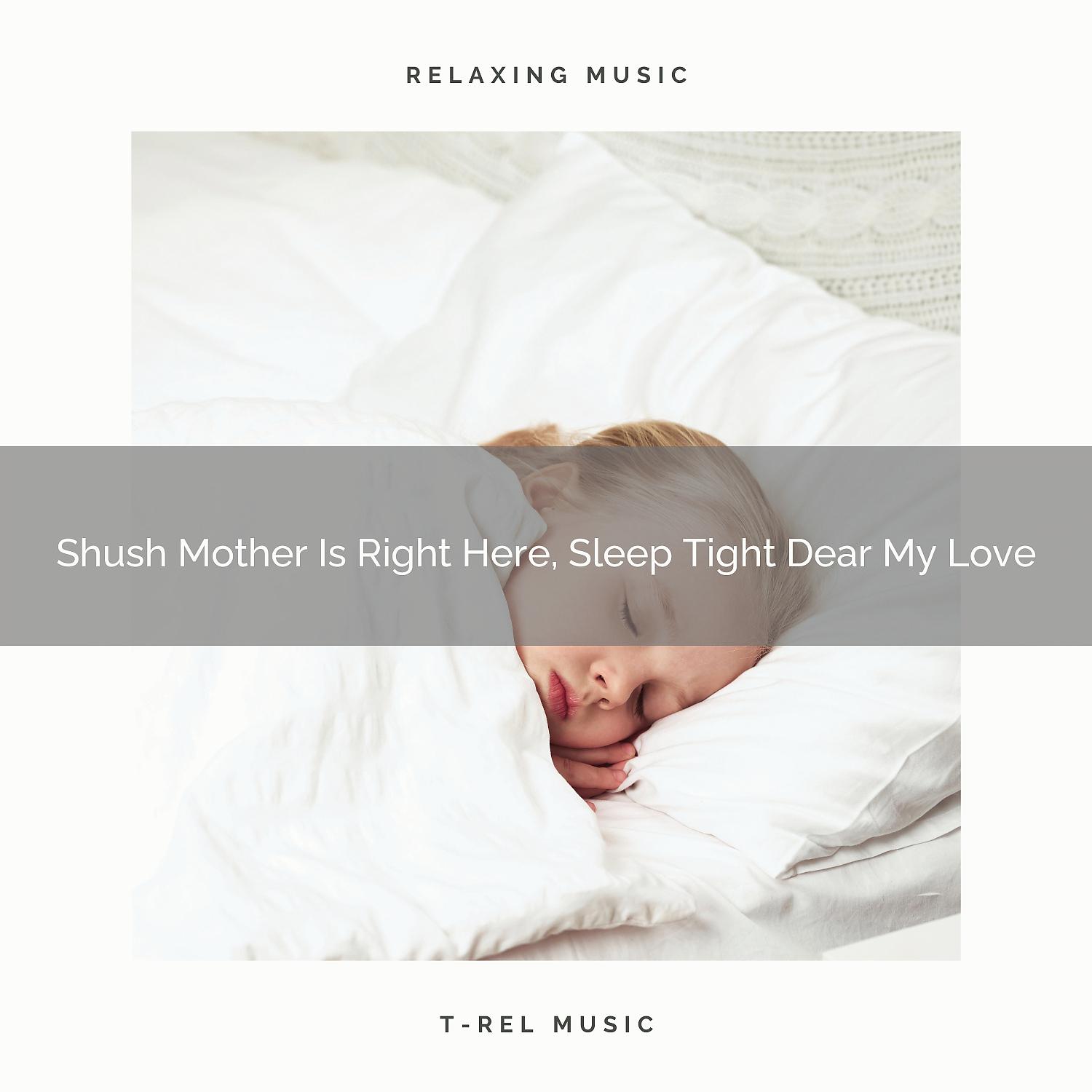 Постер альбома Shush Mother Is Right Here, Sleep Tight Dear My Love