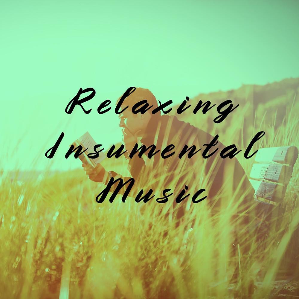 Постер альбома Relaxing Insumental Music (Acoustic Guitar and Piano)