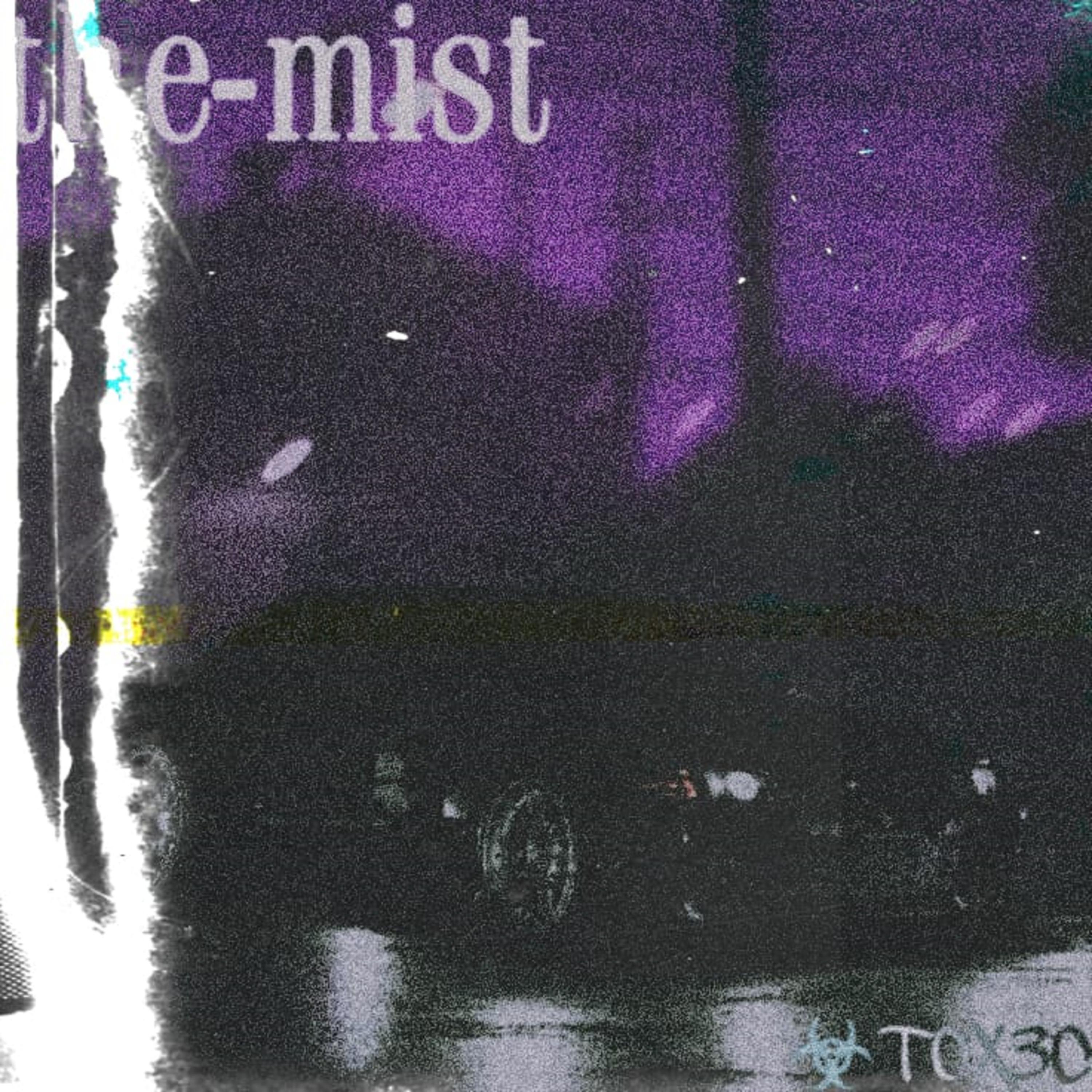 Постер альбома The Mist