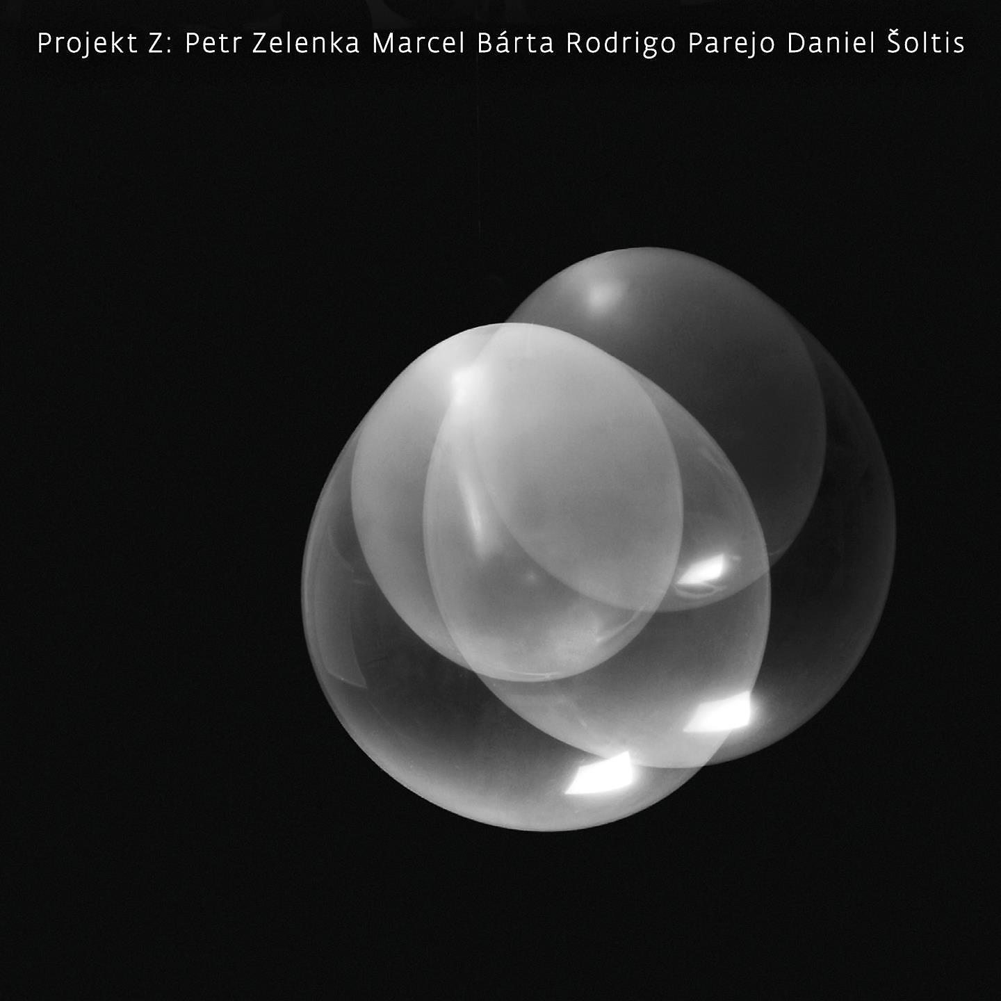 Постер альбома Projekt Z