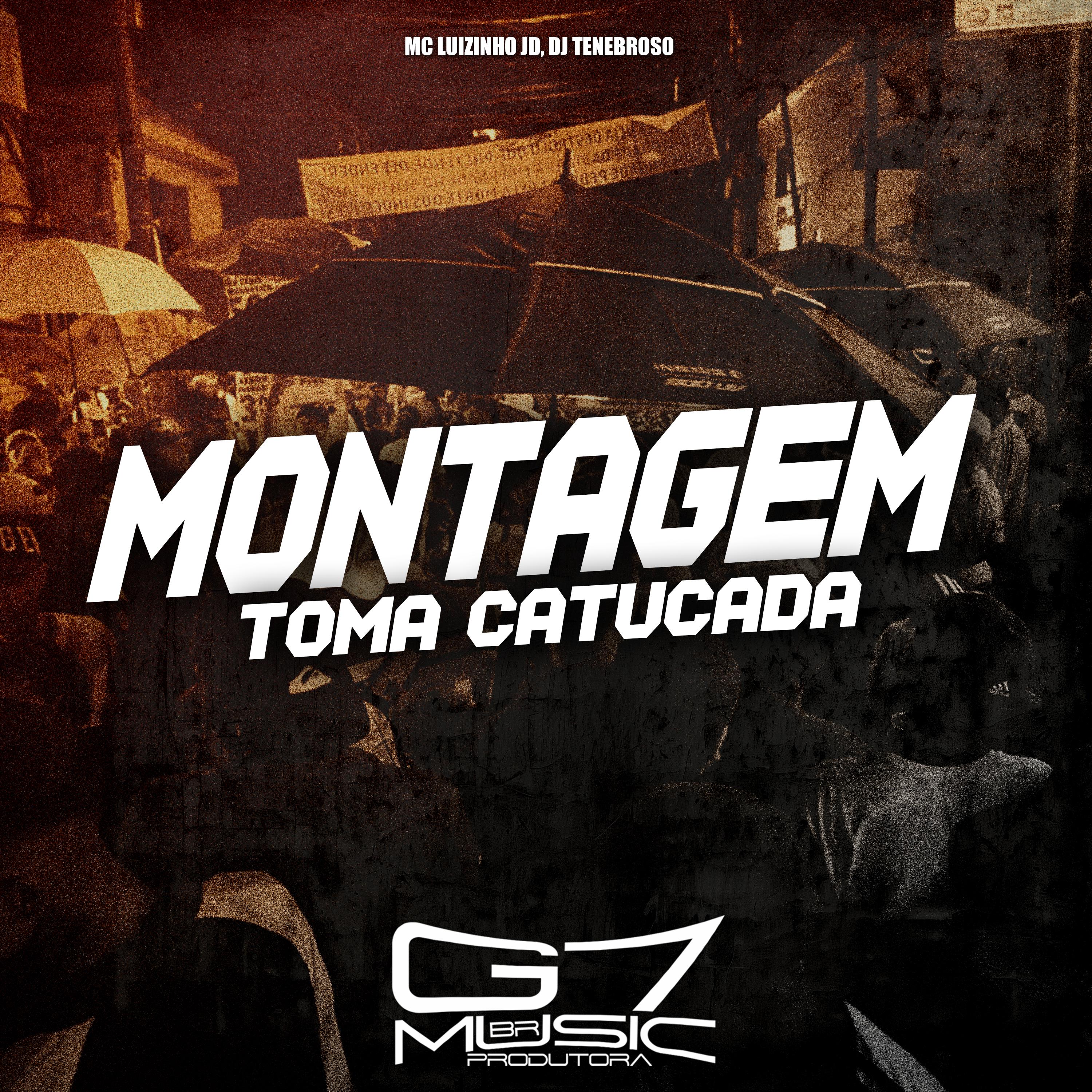 Постер альбома Montagem Toma Catucada