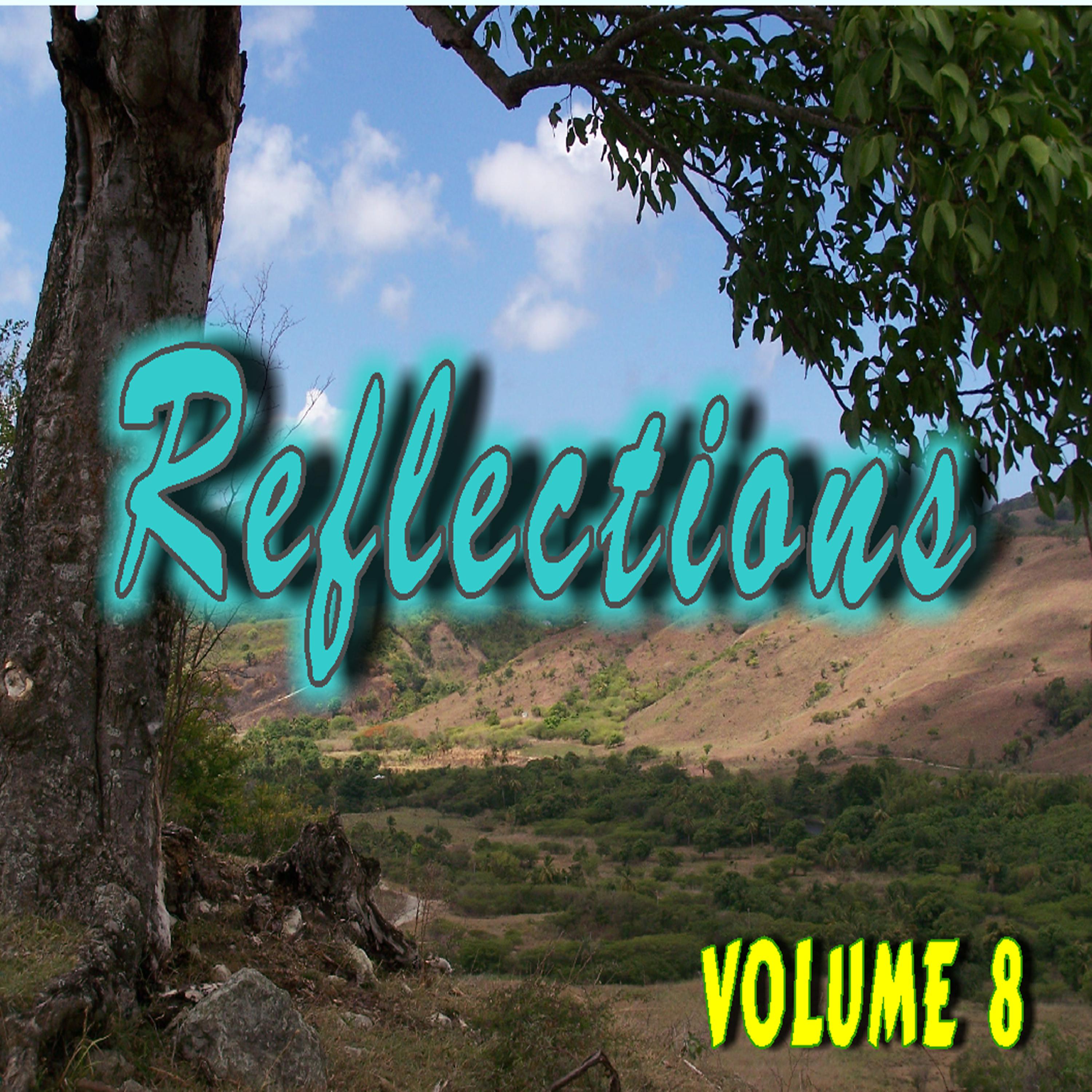 Постер альбома Reflections, Vol. 8
