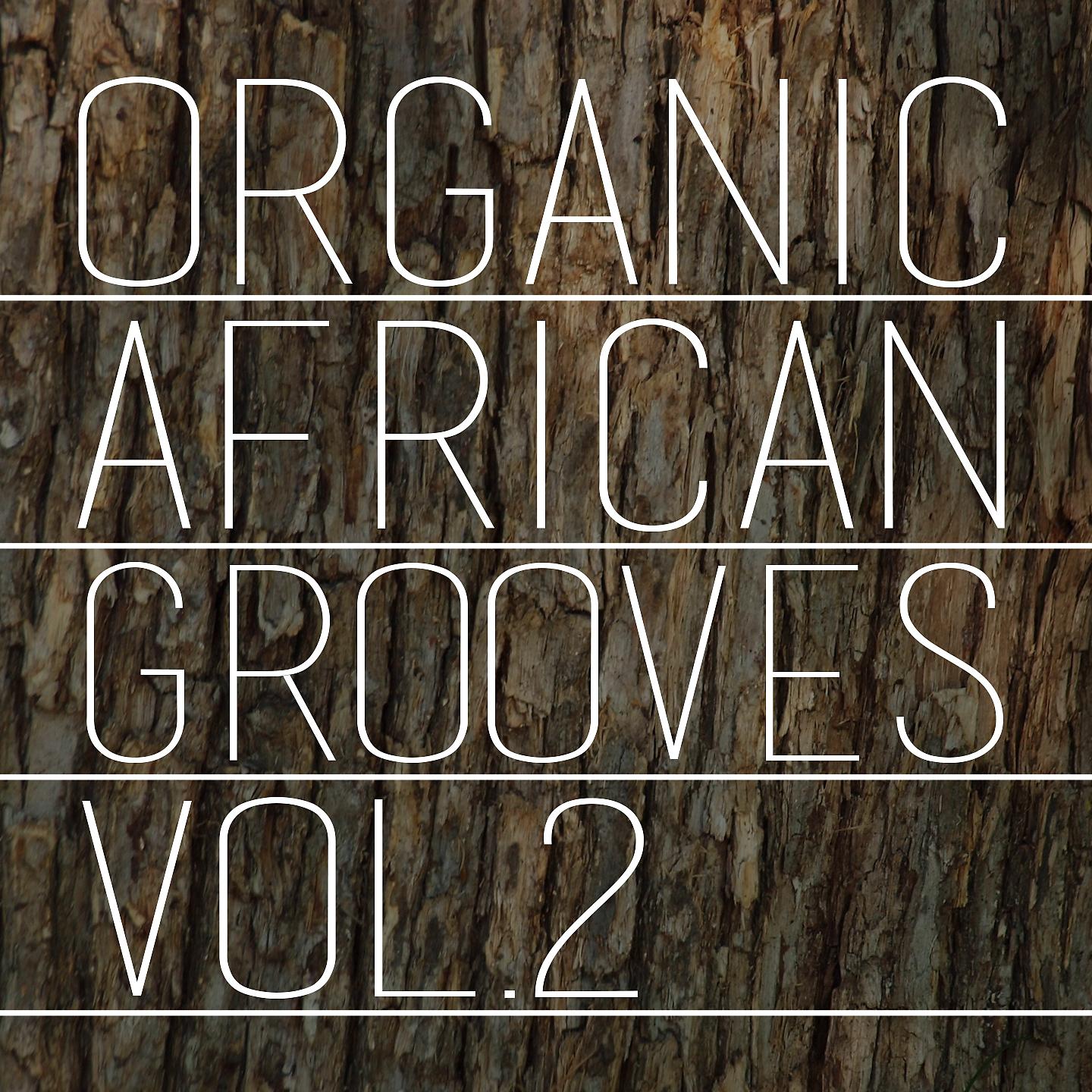 Постер альбома Organic African Grooves, Vol.2