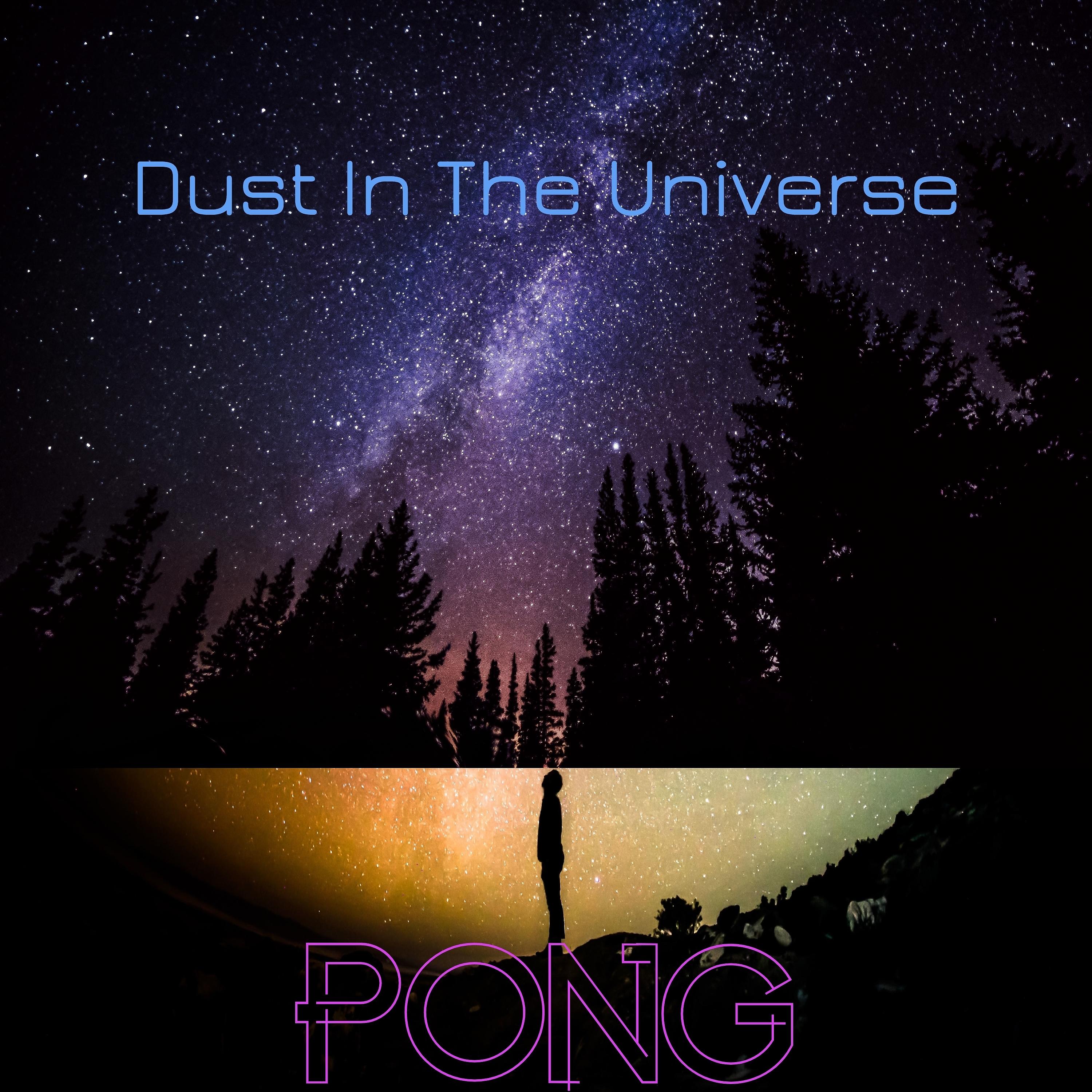 Постер альбома Dust in the Universe