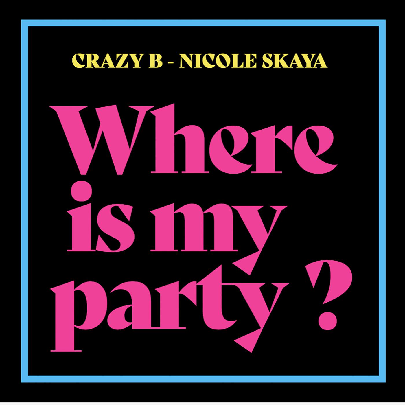 Постер альбома Where Is My Party
