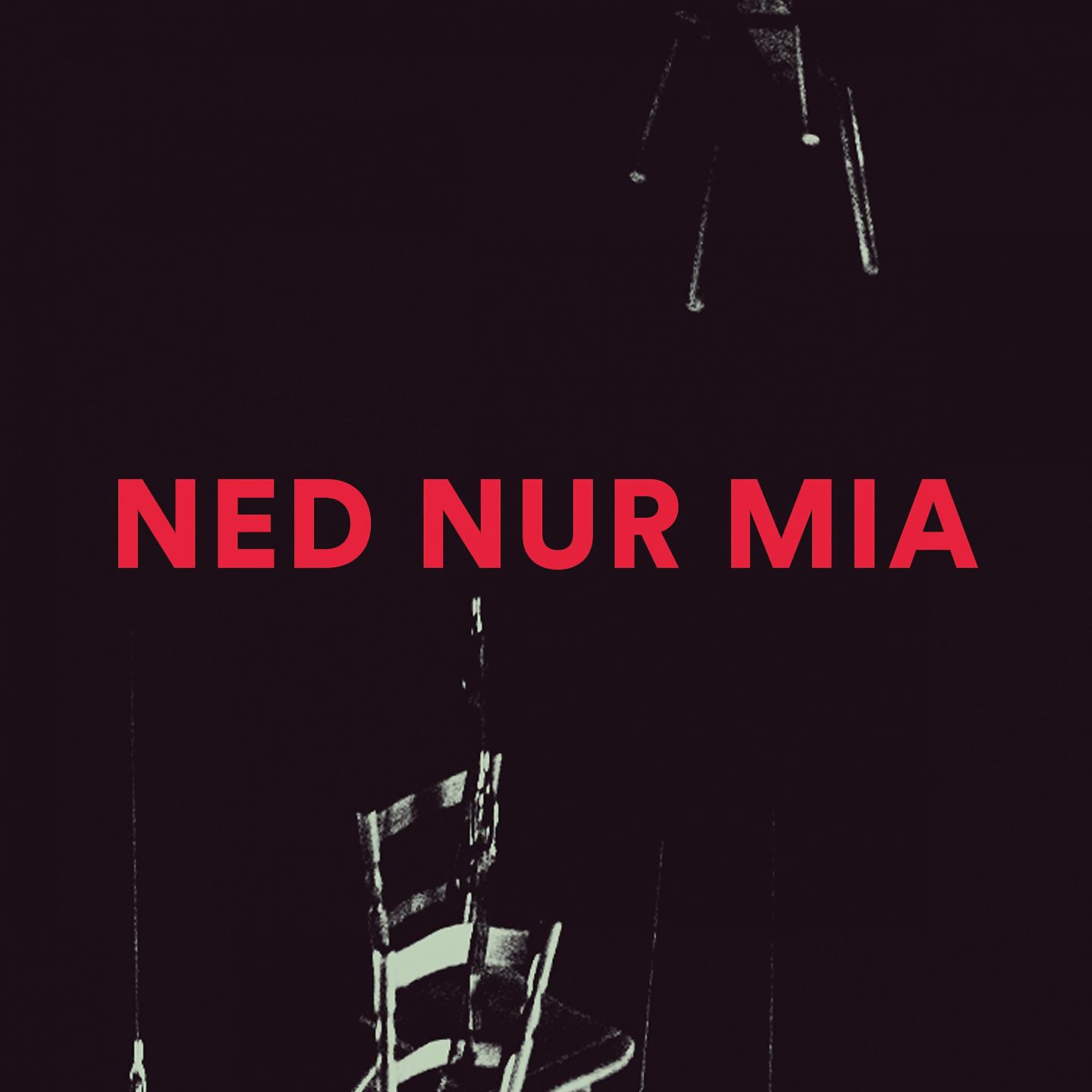 Постер альбома Ned nur mia