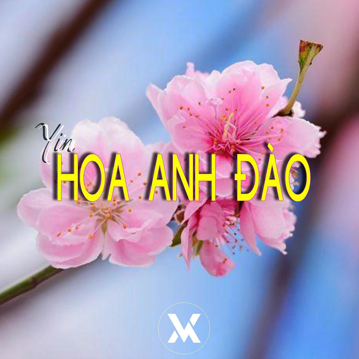 Постер альбома Hoa Anh Đào
