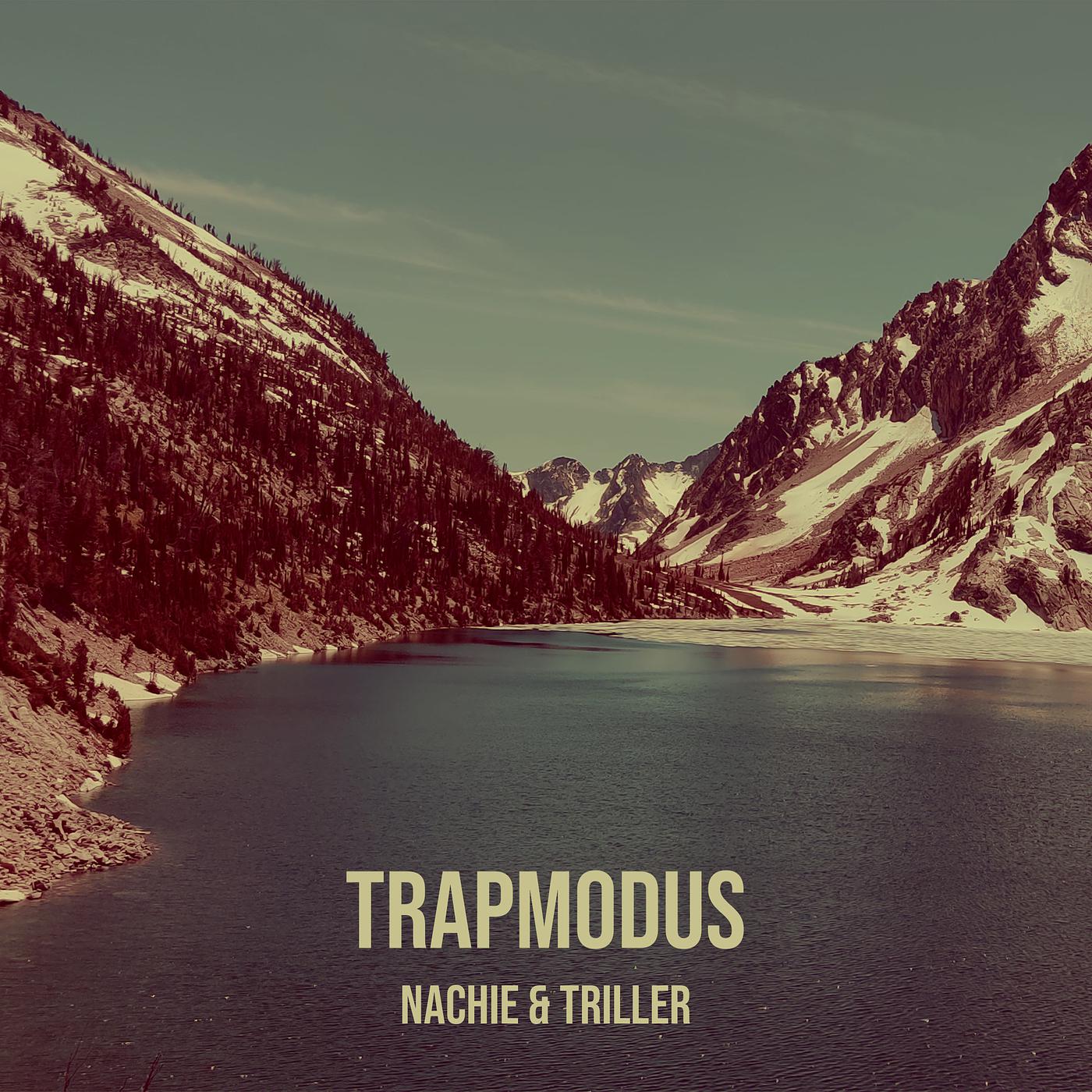 Постер альбома Trapmodus