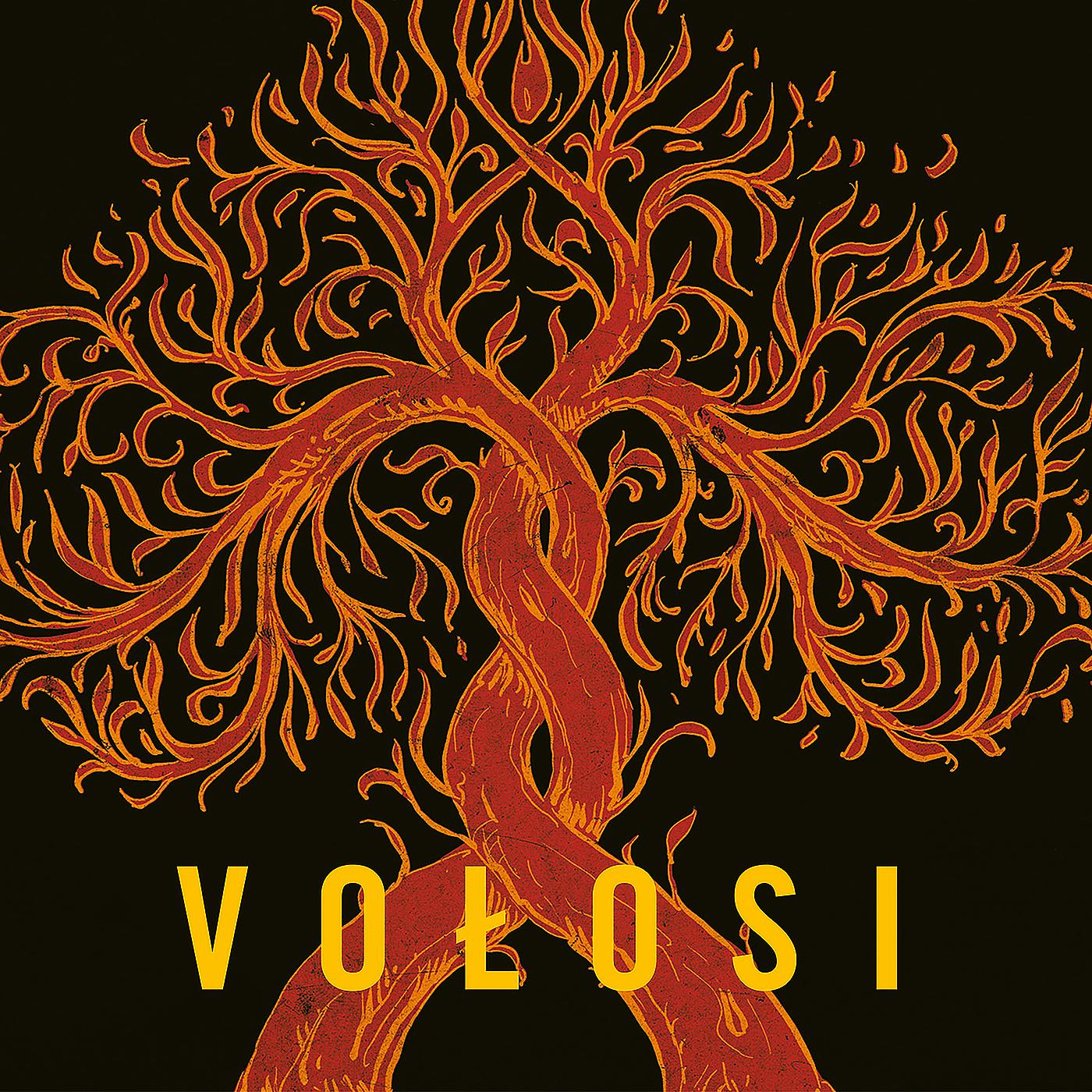 Постер альбома Vołosi