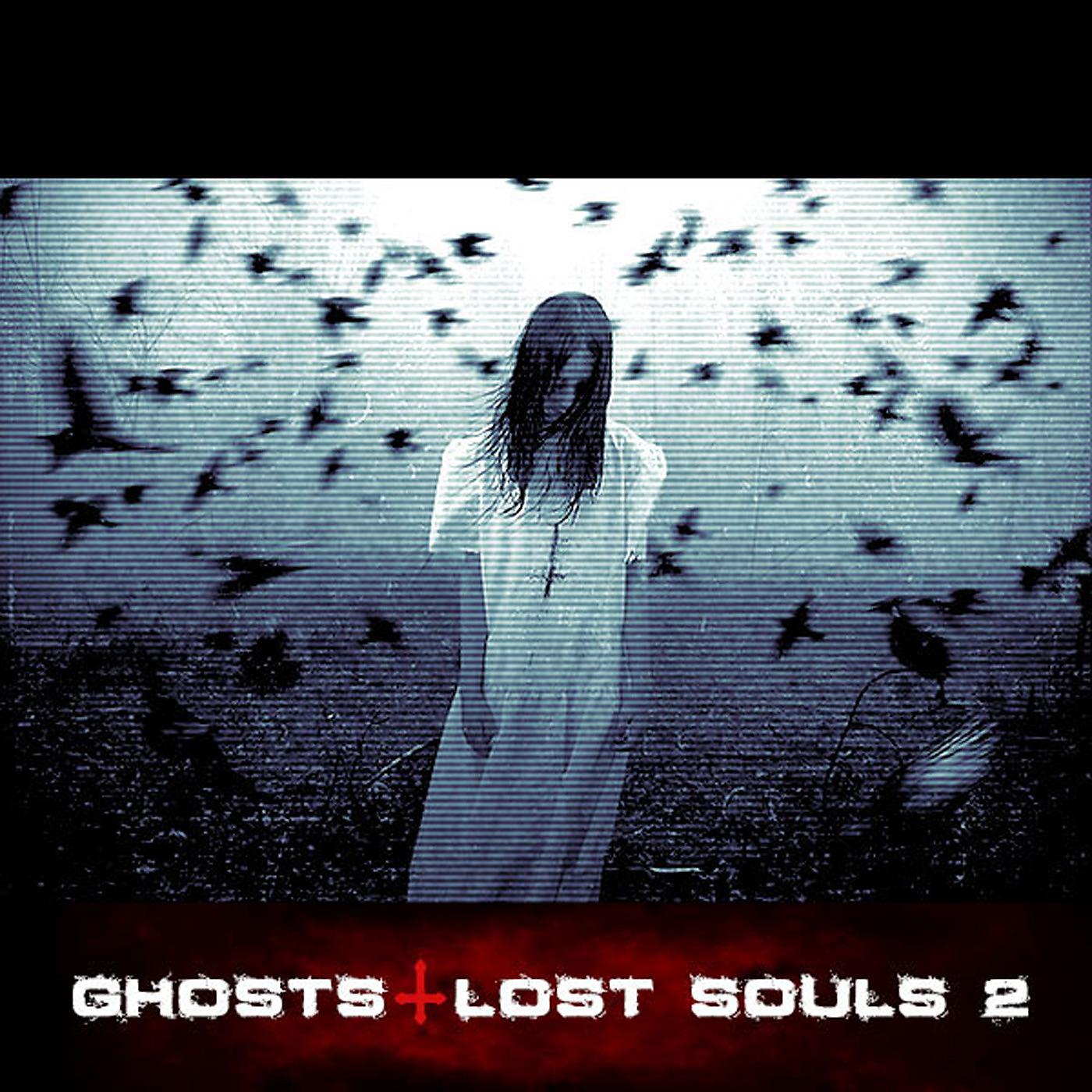 Постер альбома Ghosts & Lost Souls 2