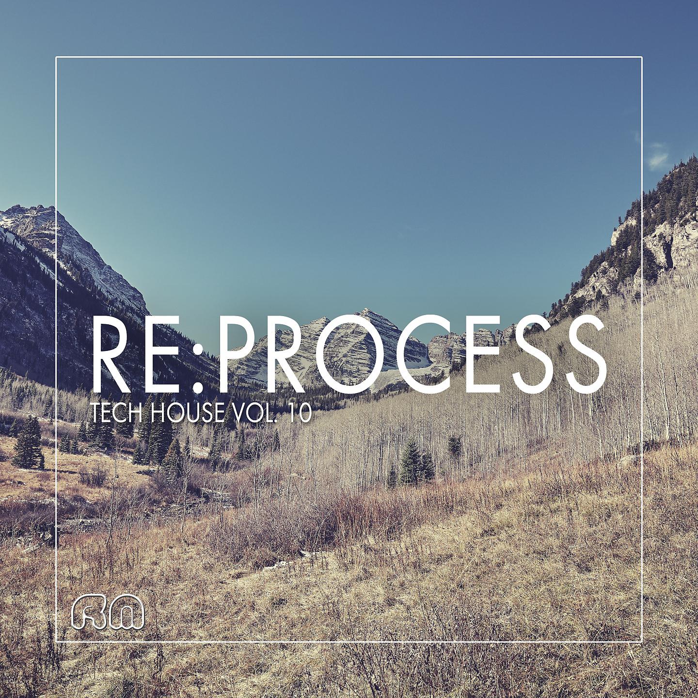 Постер альбома Re:Process - Tech House Vol. 10
