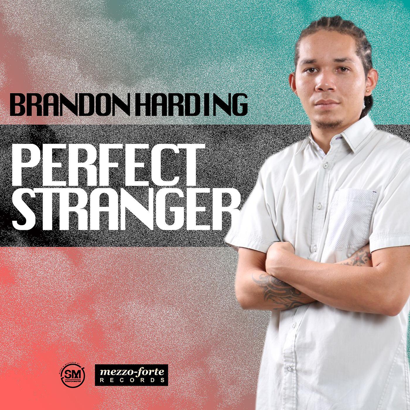 Постер альбома Perfect Stranger