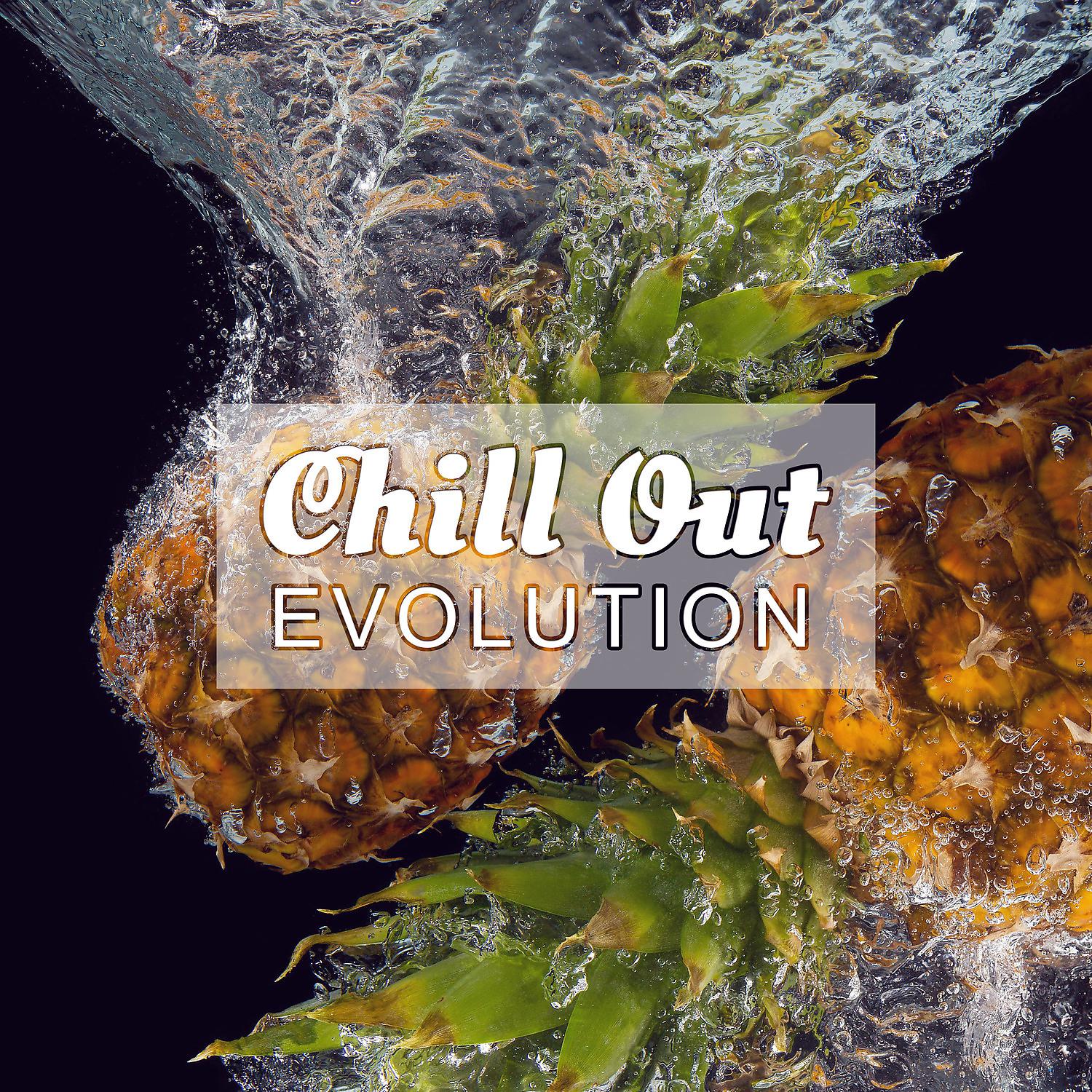 Постер альбома Chill Out Evolution – Pure Chill Out, Lounge Music, Summer Hits