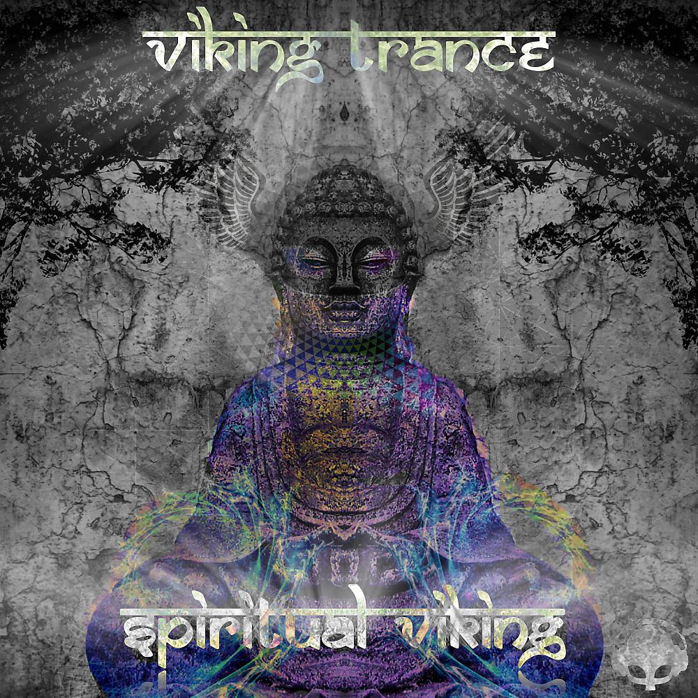 Постер альбома Spiritual Viking