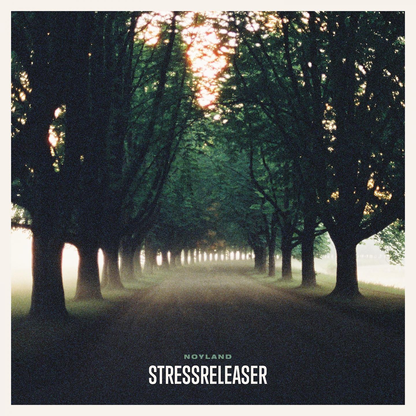 Постер альбома Stressreleaser