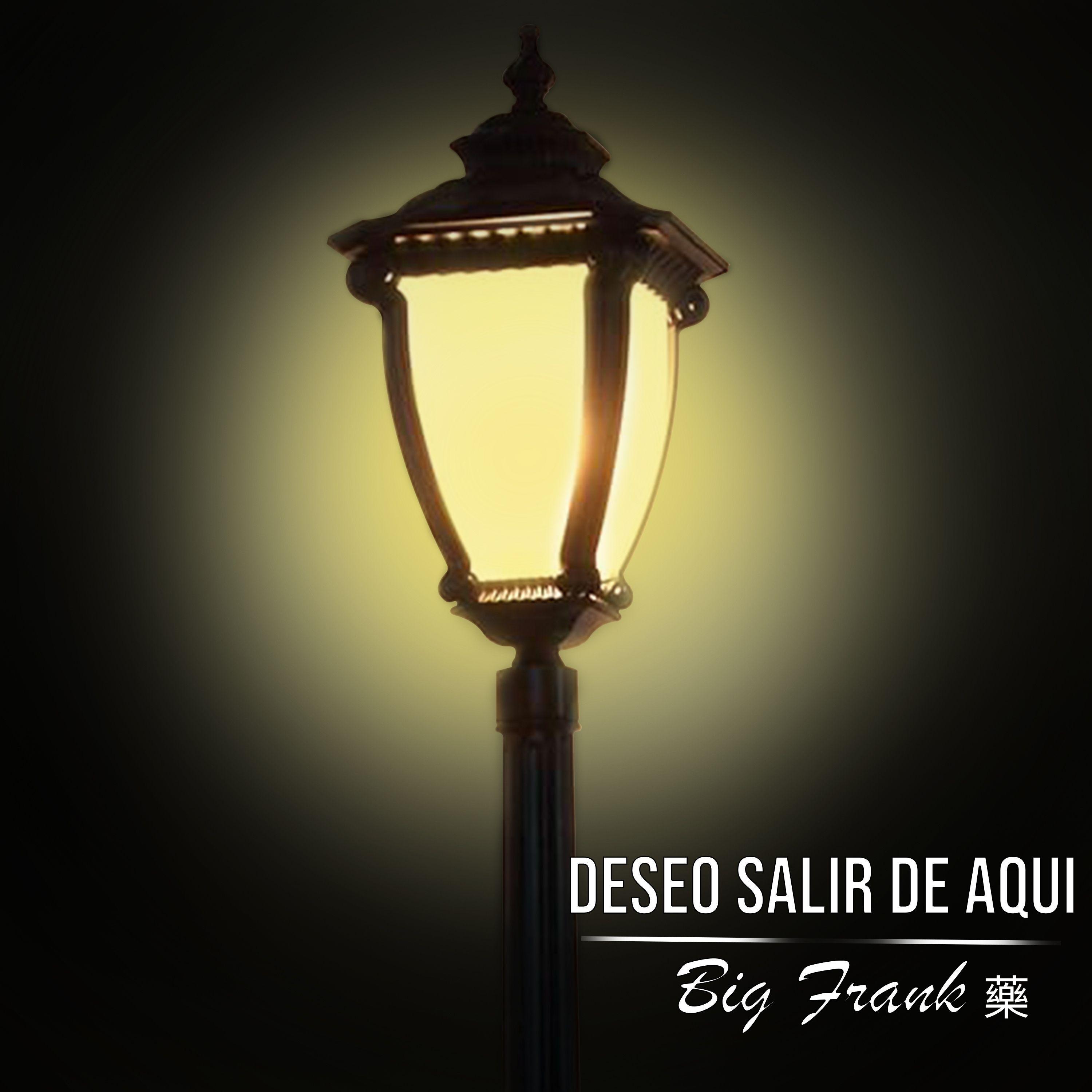 Постер альбома Deseo Salir de Aquí