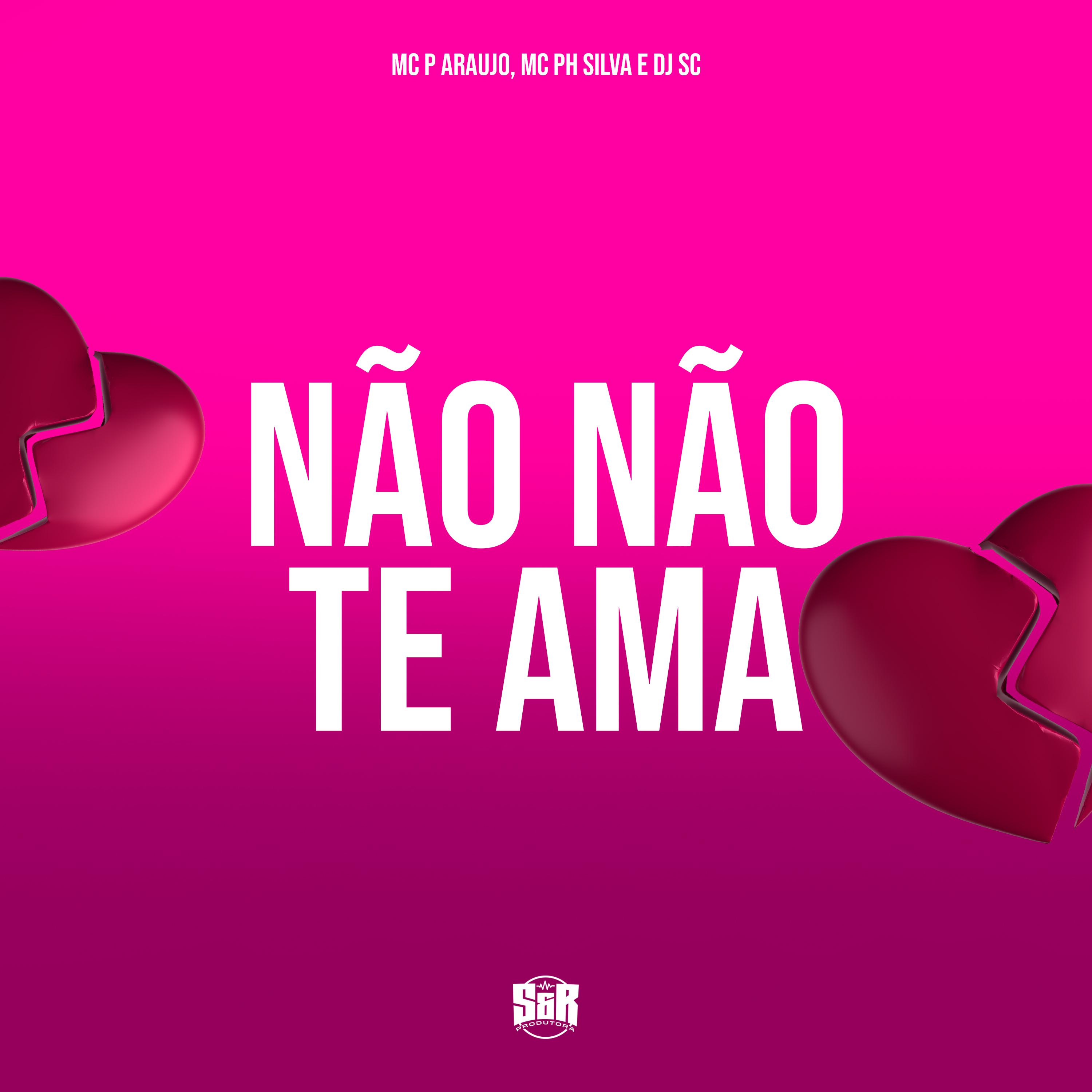 Постер альбома Não Não Te Ama