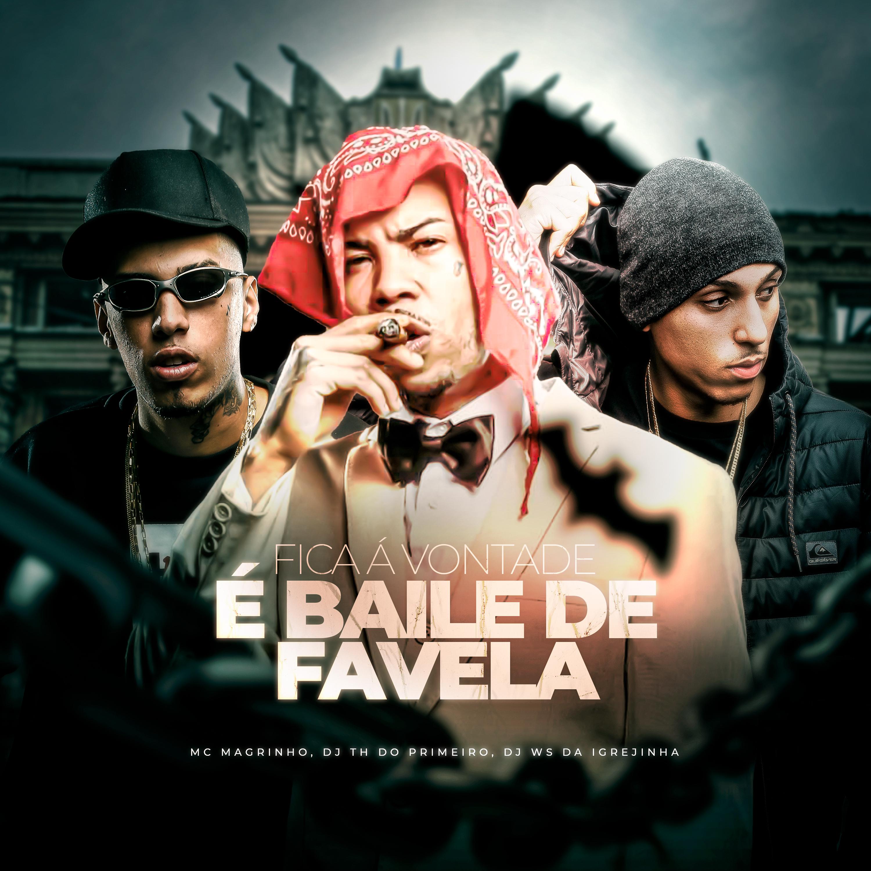 Постер альбома Fica a Vontade, É Baile de Favela