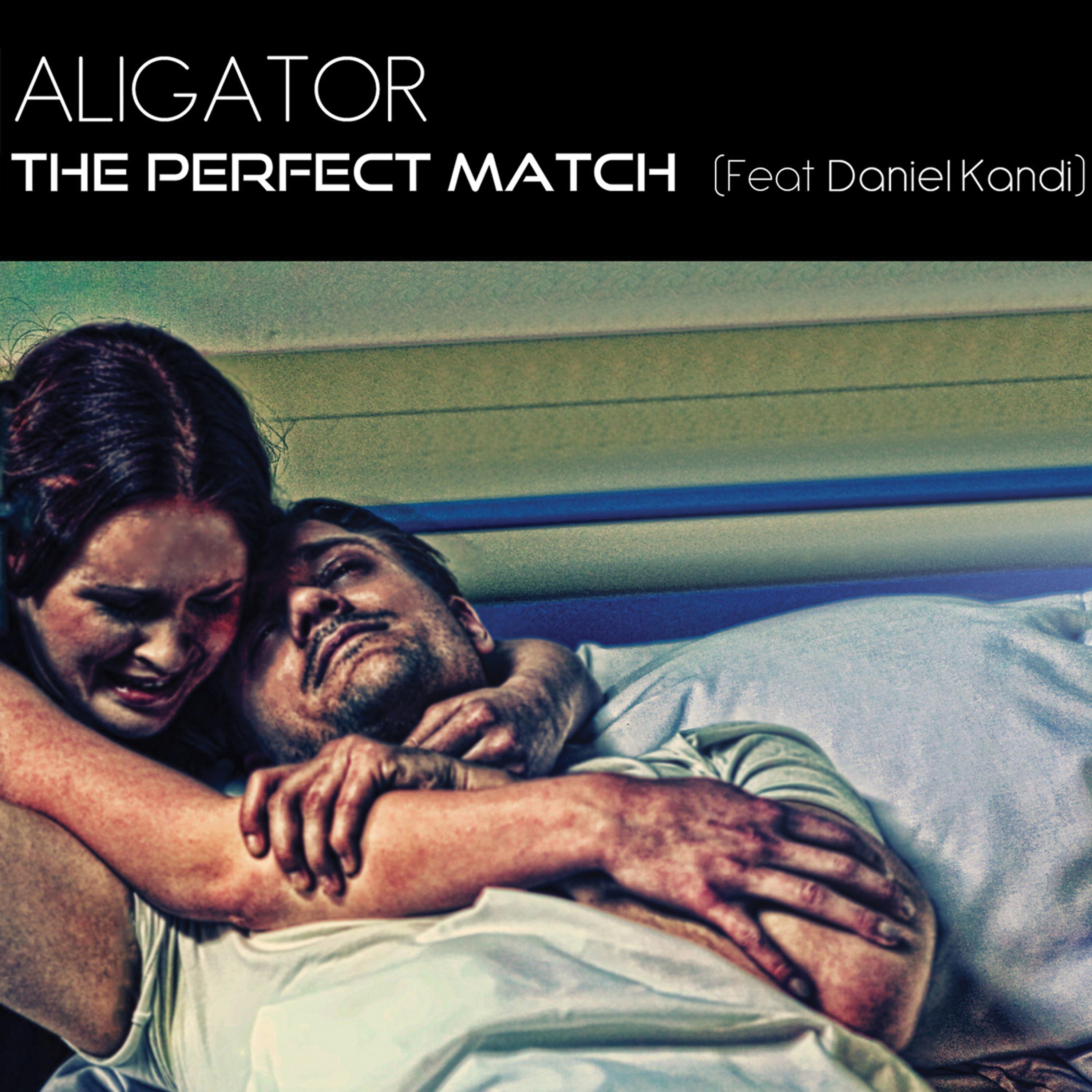 Постер альбома The Perfect Match (feat. Daniel Kandi) [Remixes]