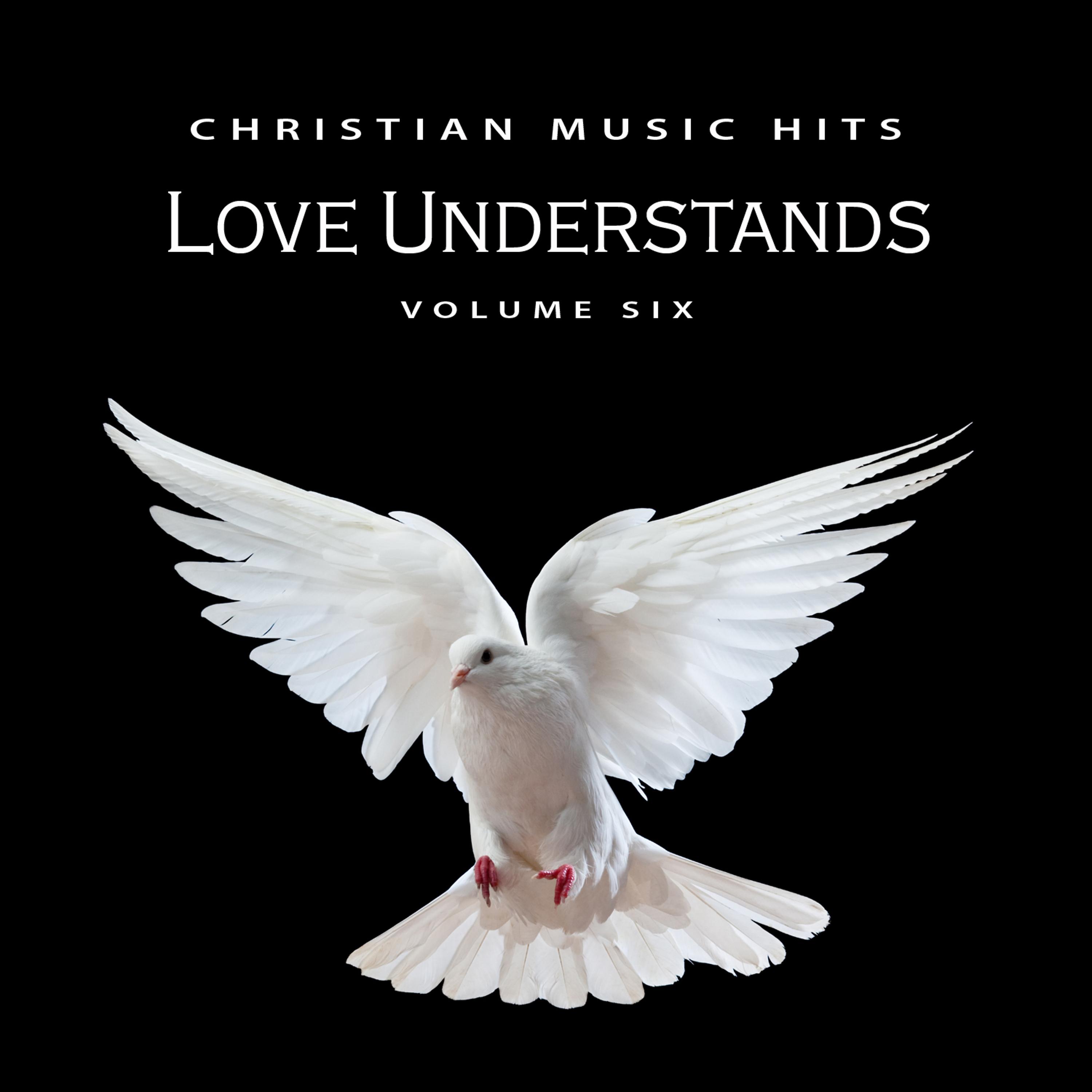 Постер альбома Christian Music Hits: Love Understands, Vol. 6