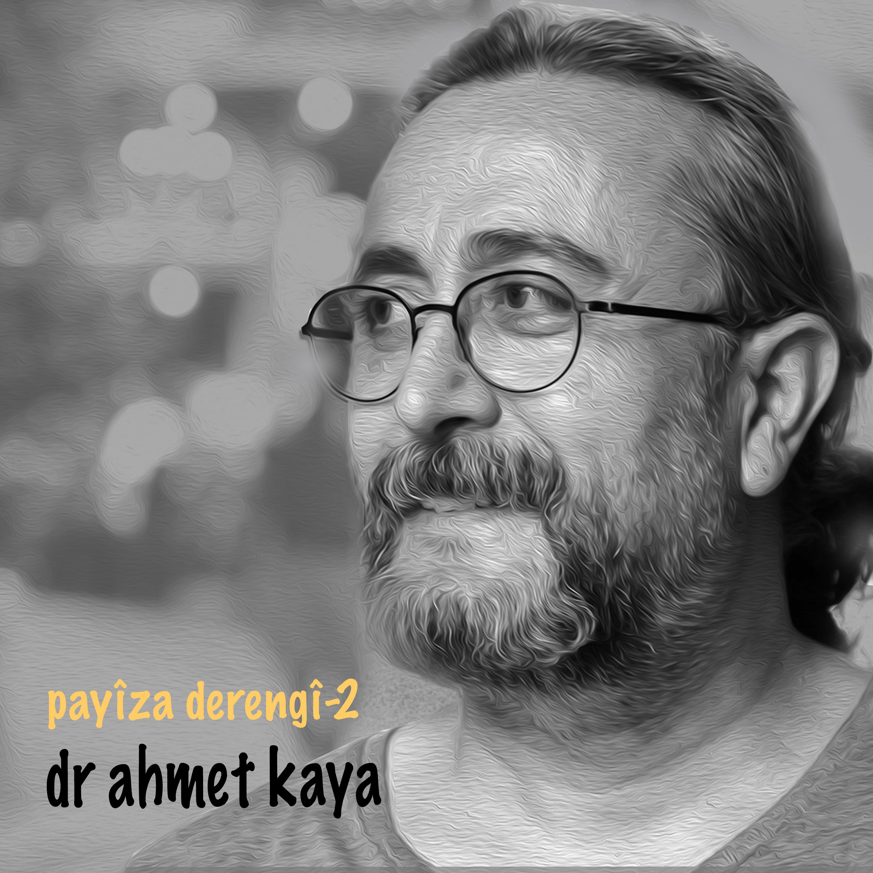 Постер альбома Payîza Derengî-2