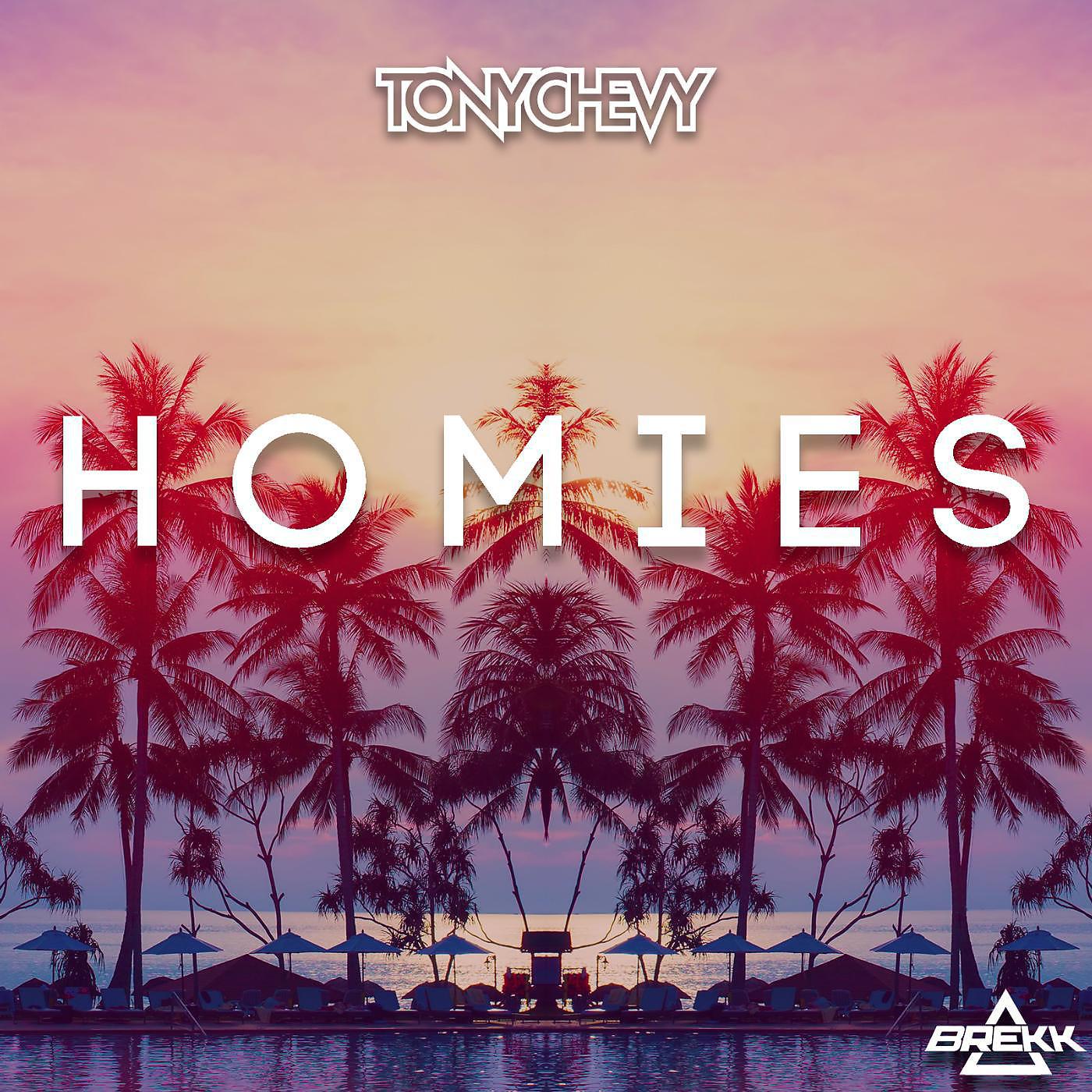Постер альбома Homies (feat. Brekk)