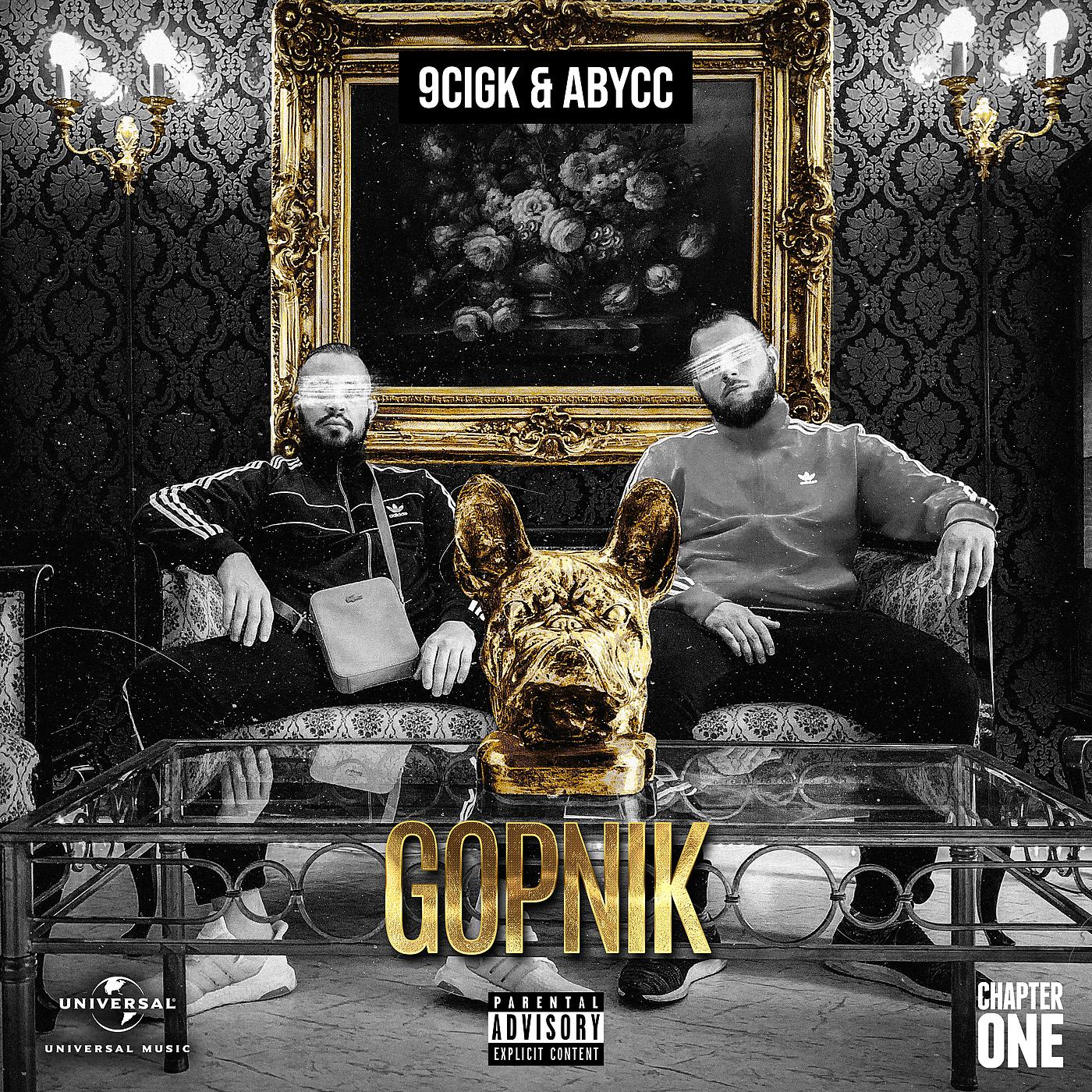 Постер альбома Gopnik