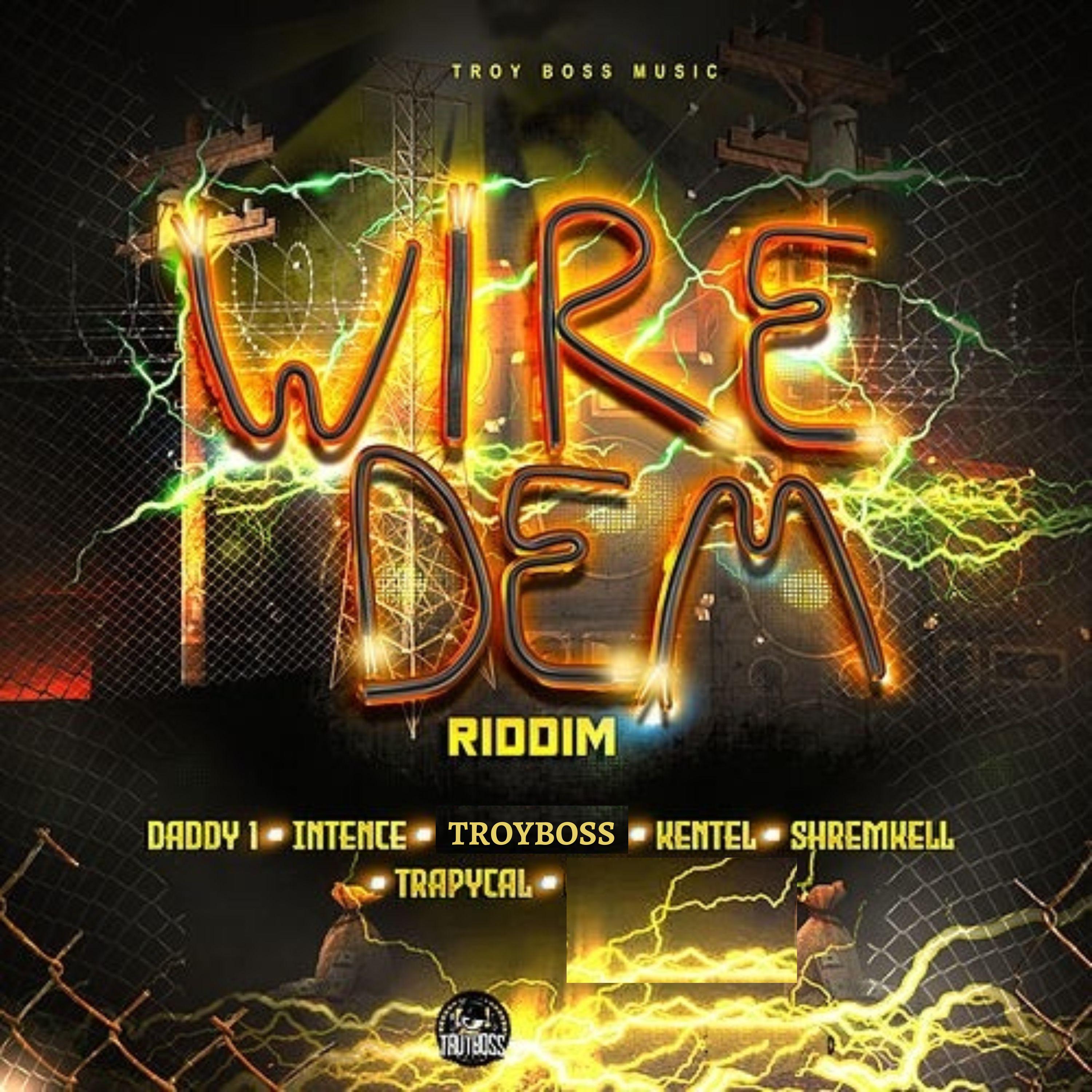 Постер альбома Wire Dem Riddim