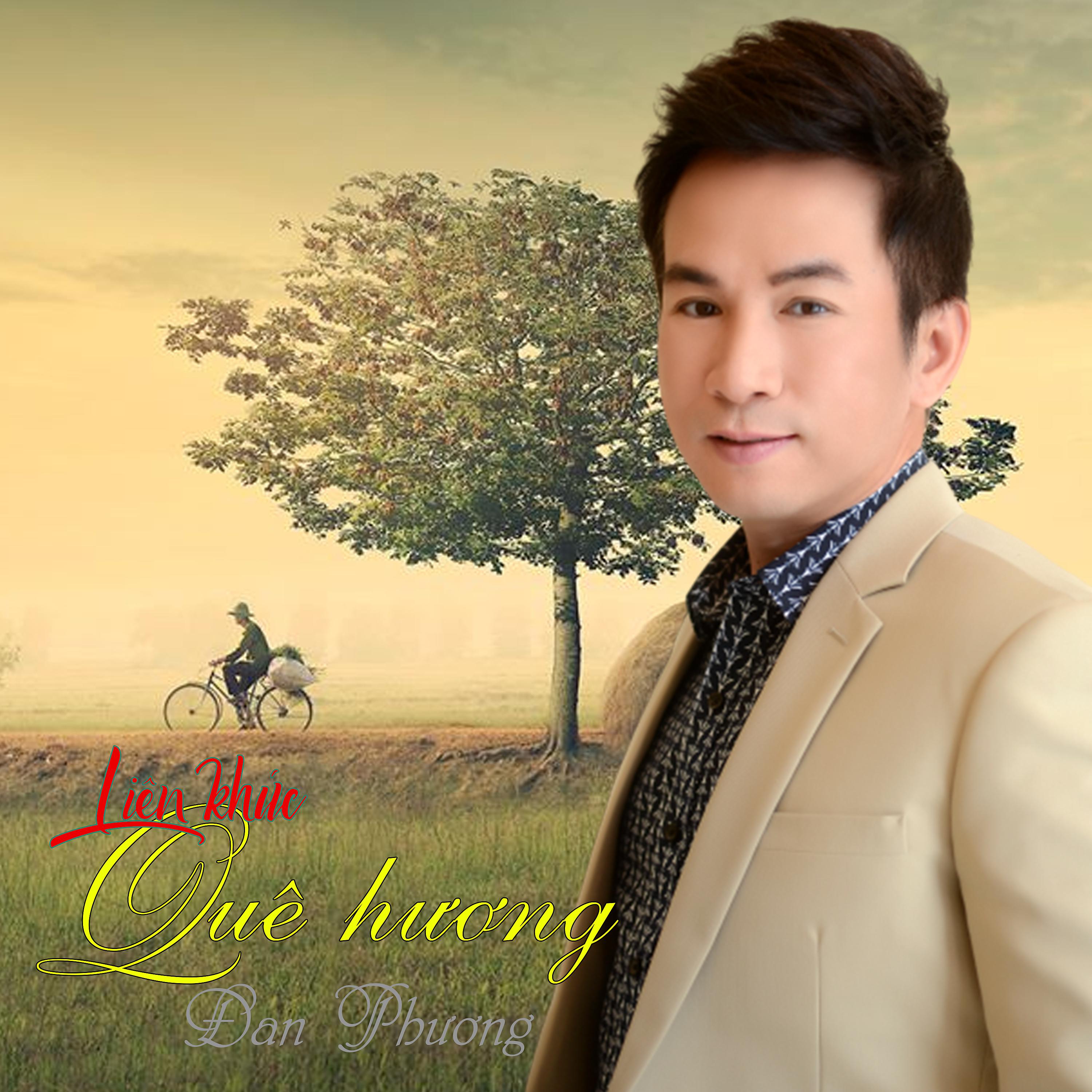 Постер альбома Liên Khúc Quê Hương