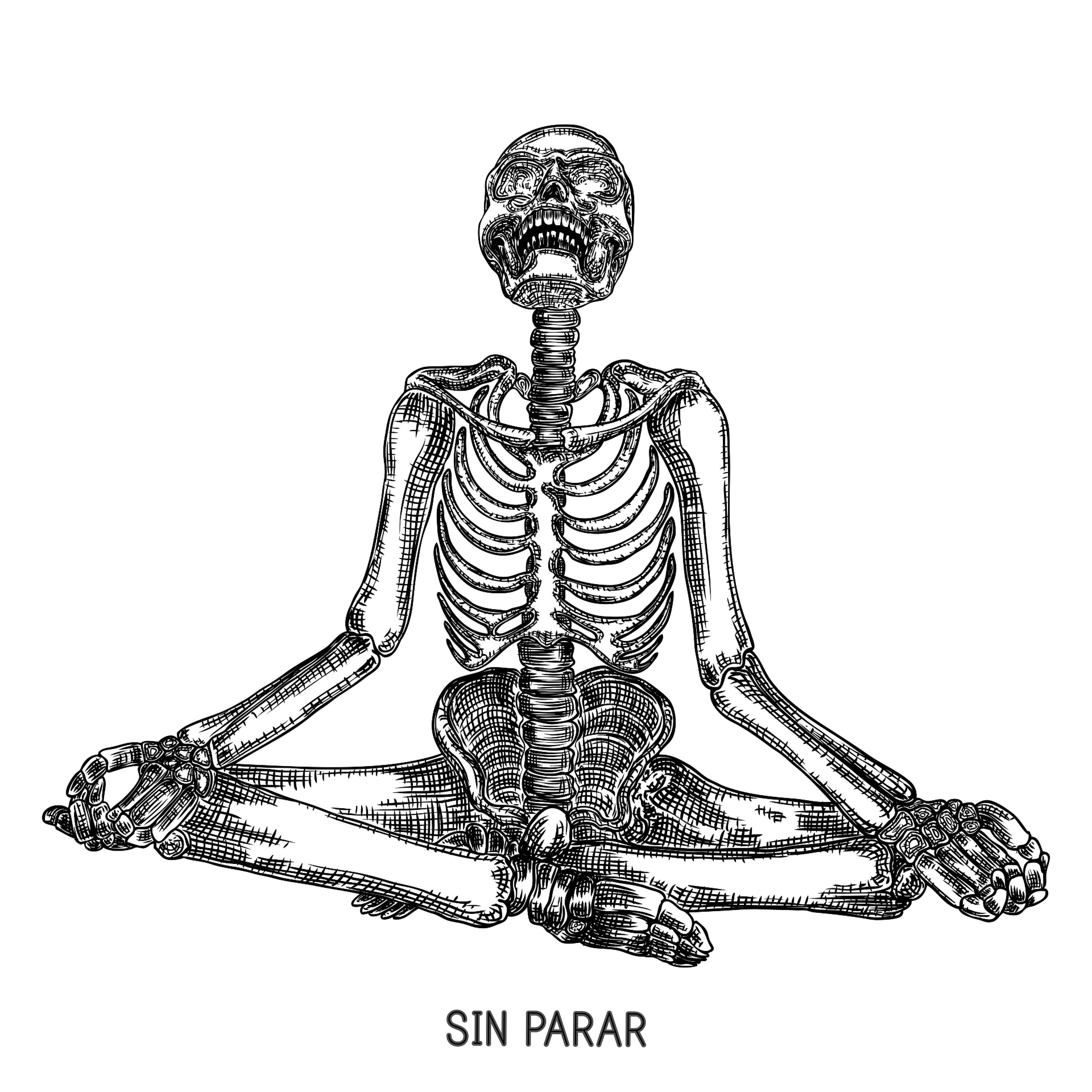 Постер альбома Sin Parar