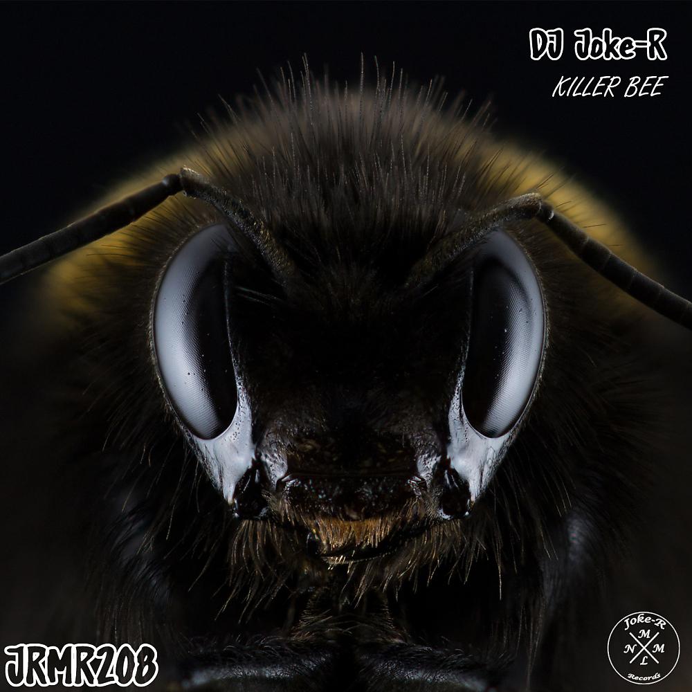 Постер альбома Killer Bee
