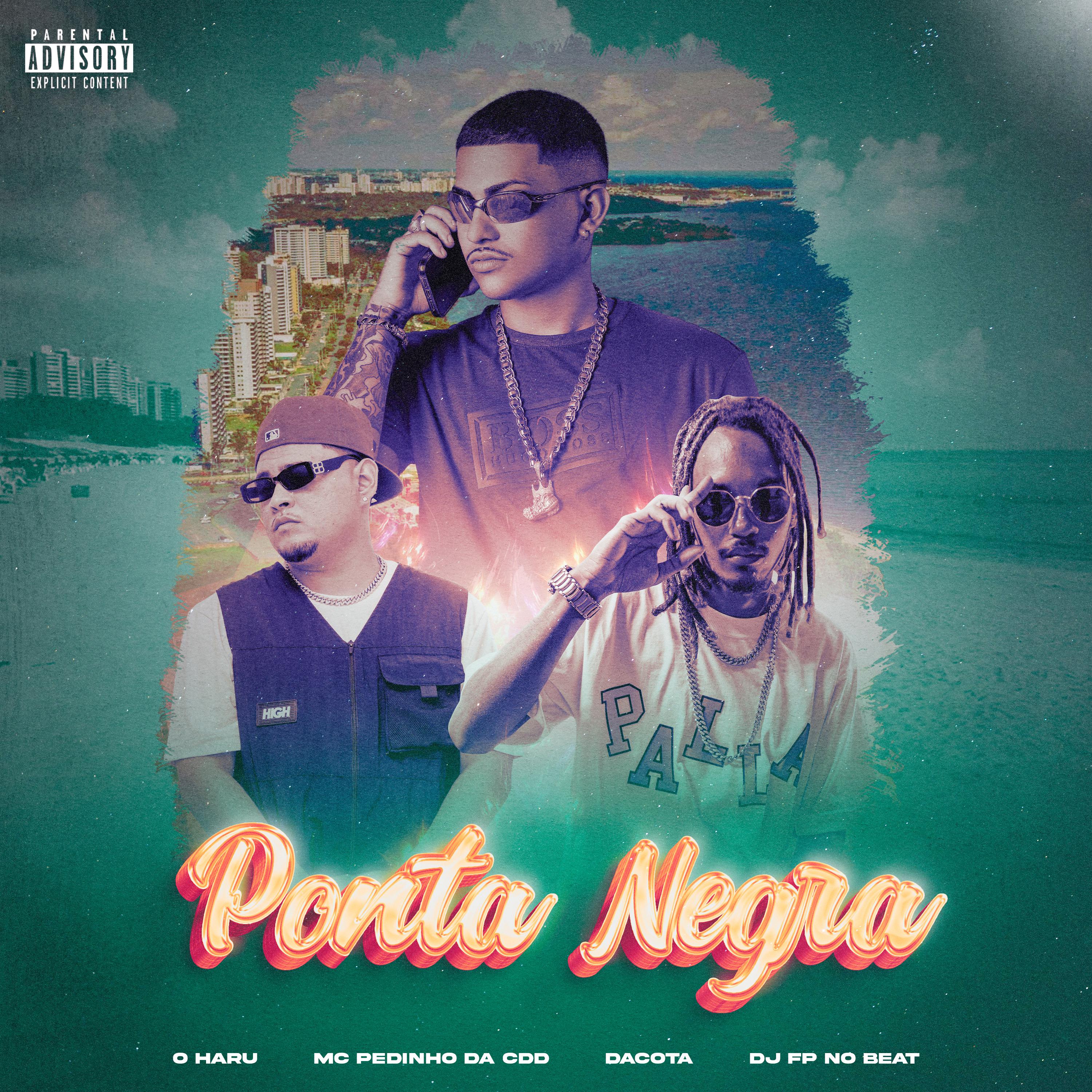 Постер альбома Ponta Negra