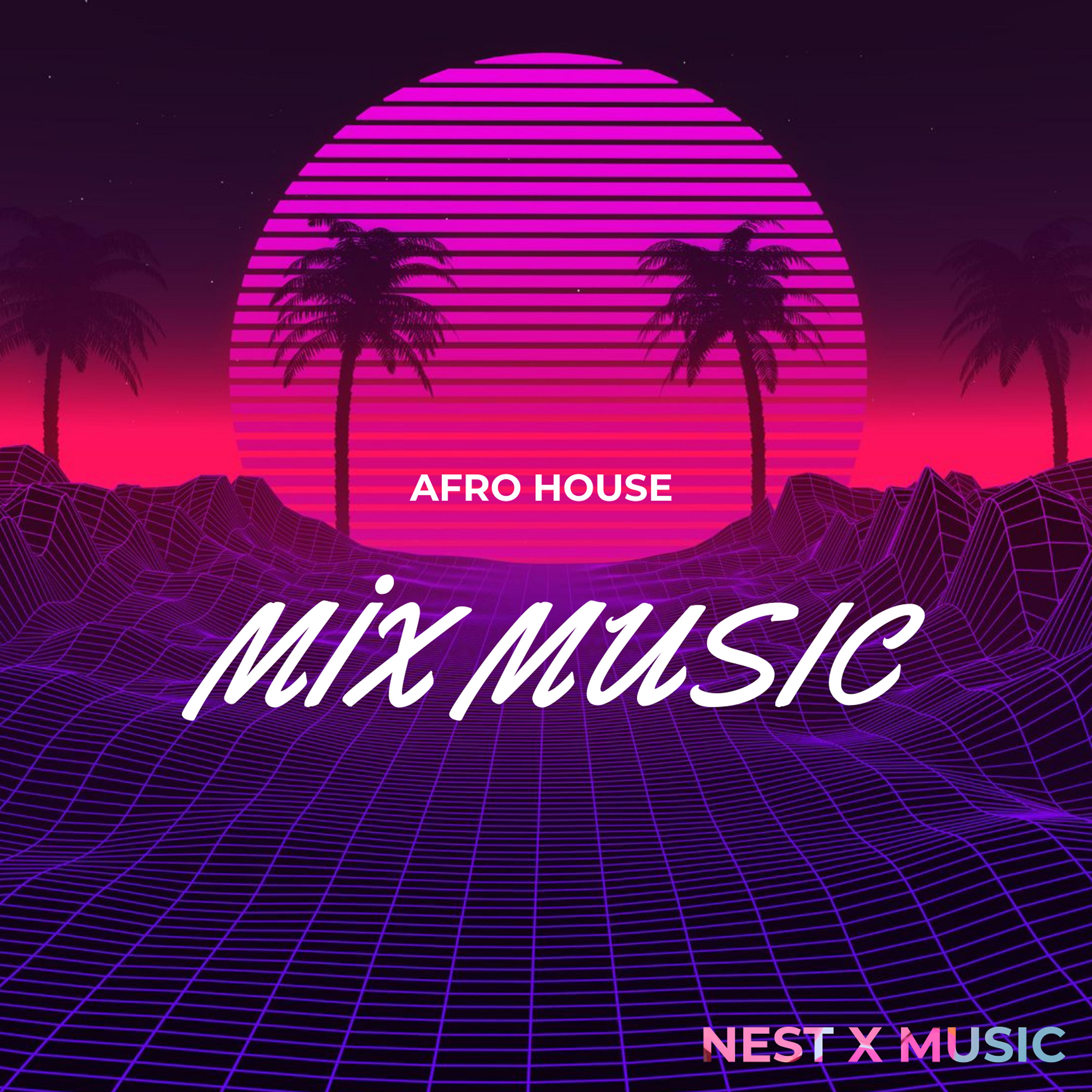 Постер альбома Afro (House Remix)