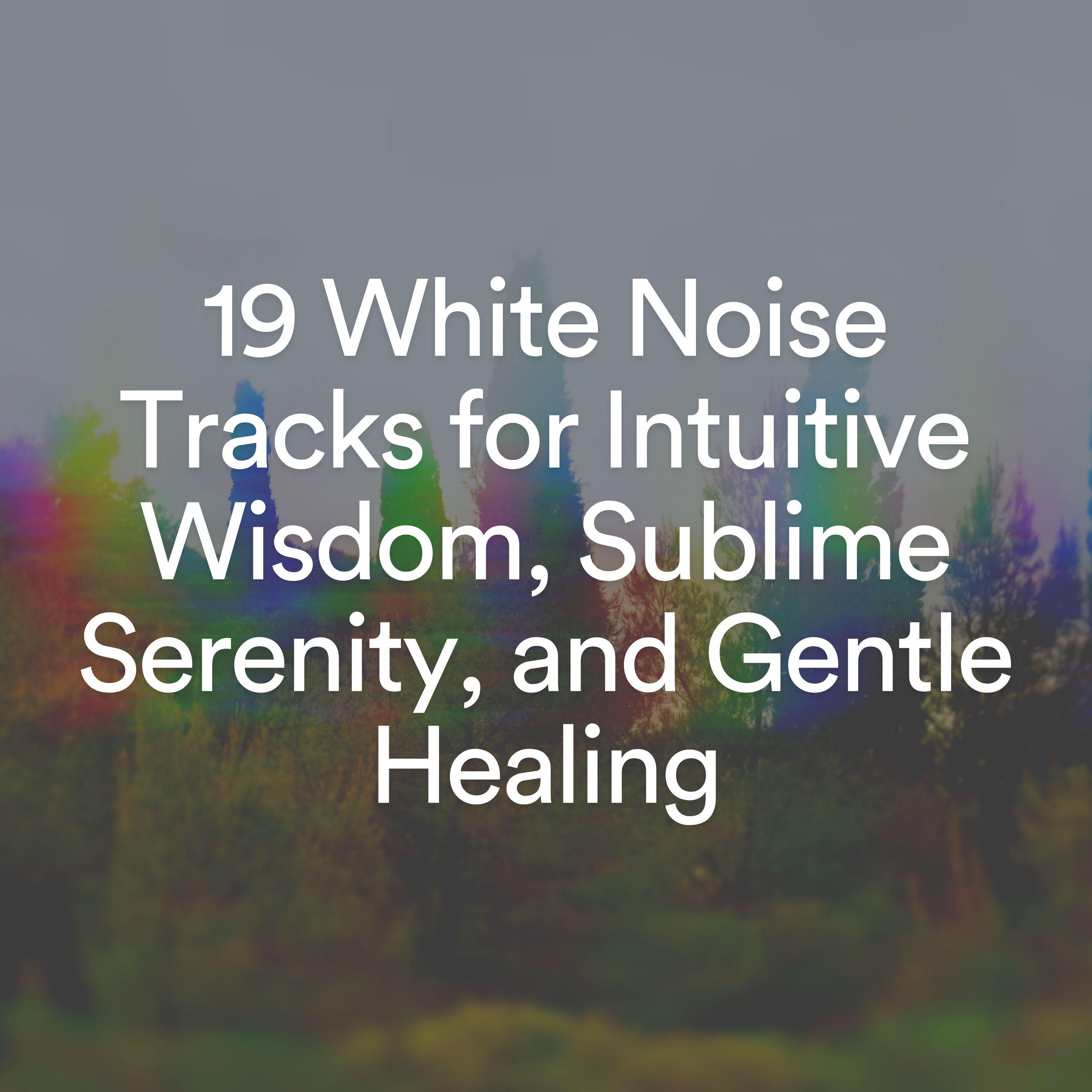 Постер альбома 19 White Noise Tracks for Intuitive Wisdom, Sublime Serenity, and Gentle Healing