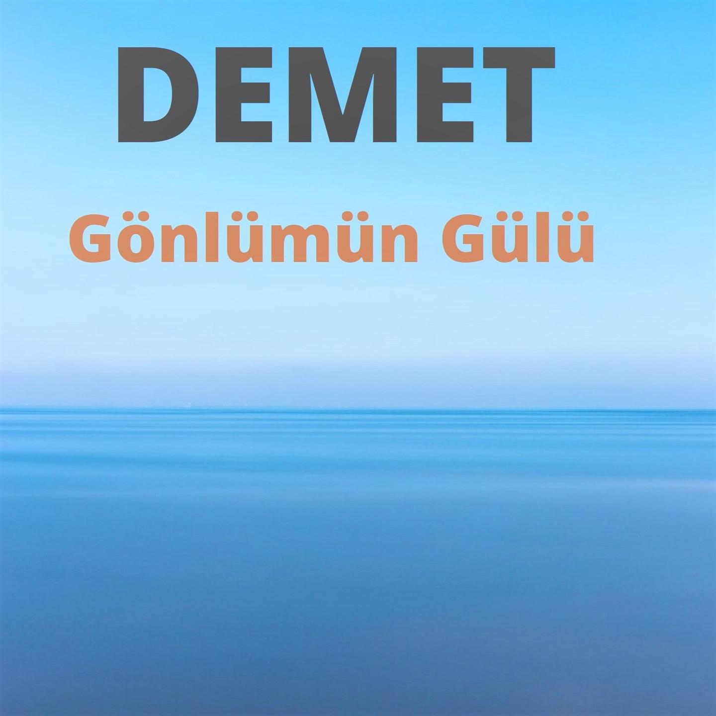 Постер альбома Gönlümün Gülü