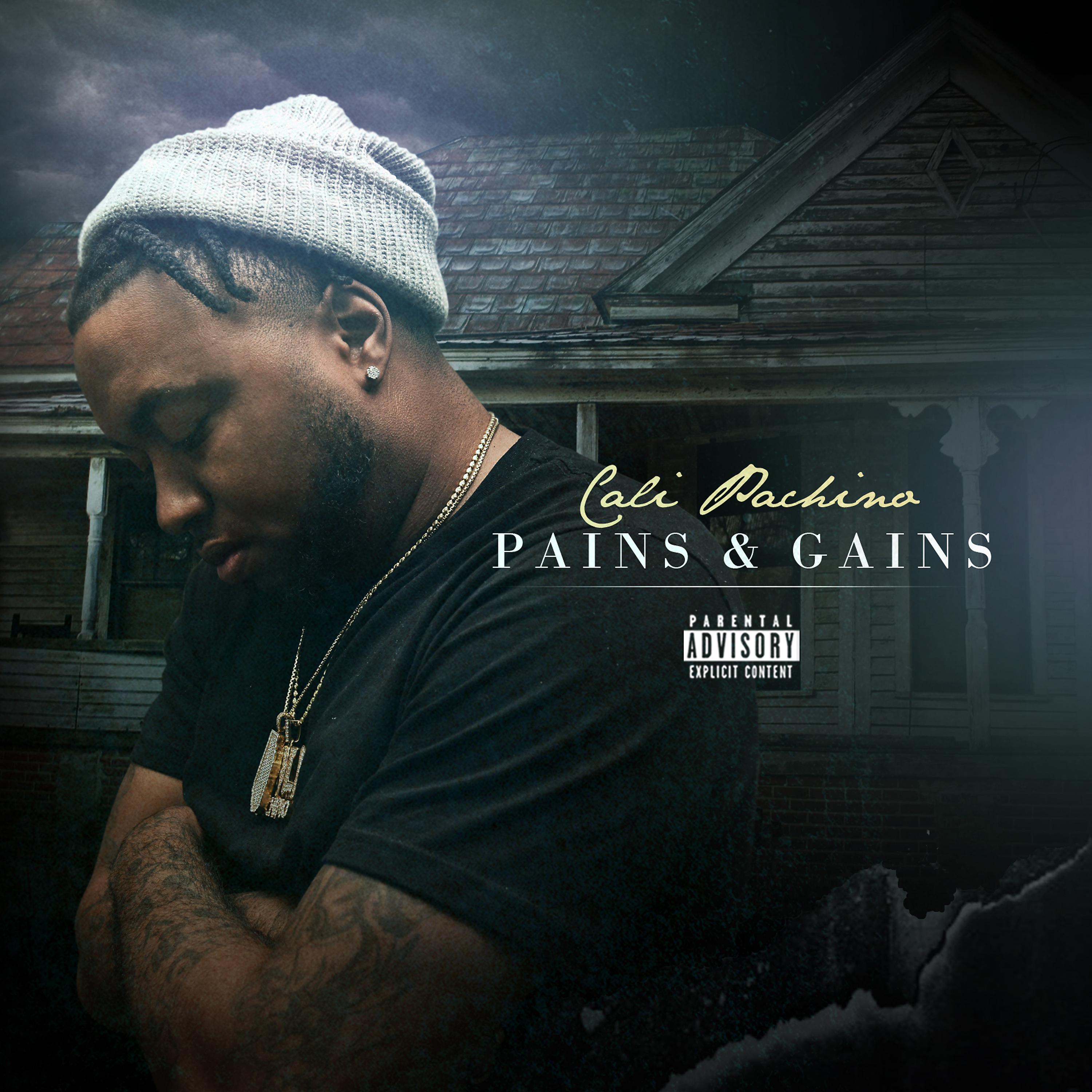 Постер альбома Pains & Gains