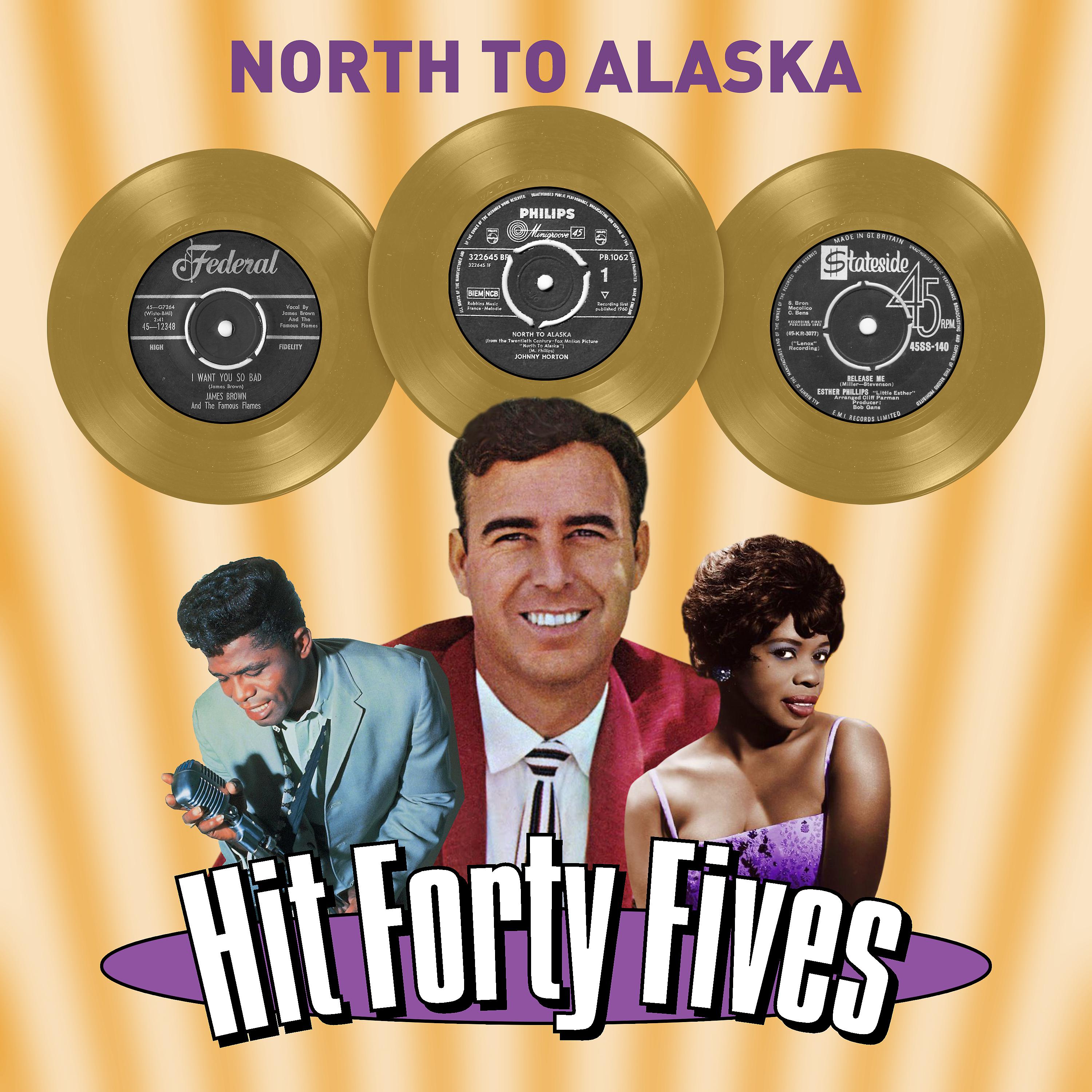 Постер альбома North to Alaska - Hit Forty Fives