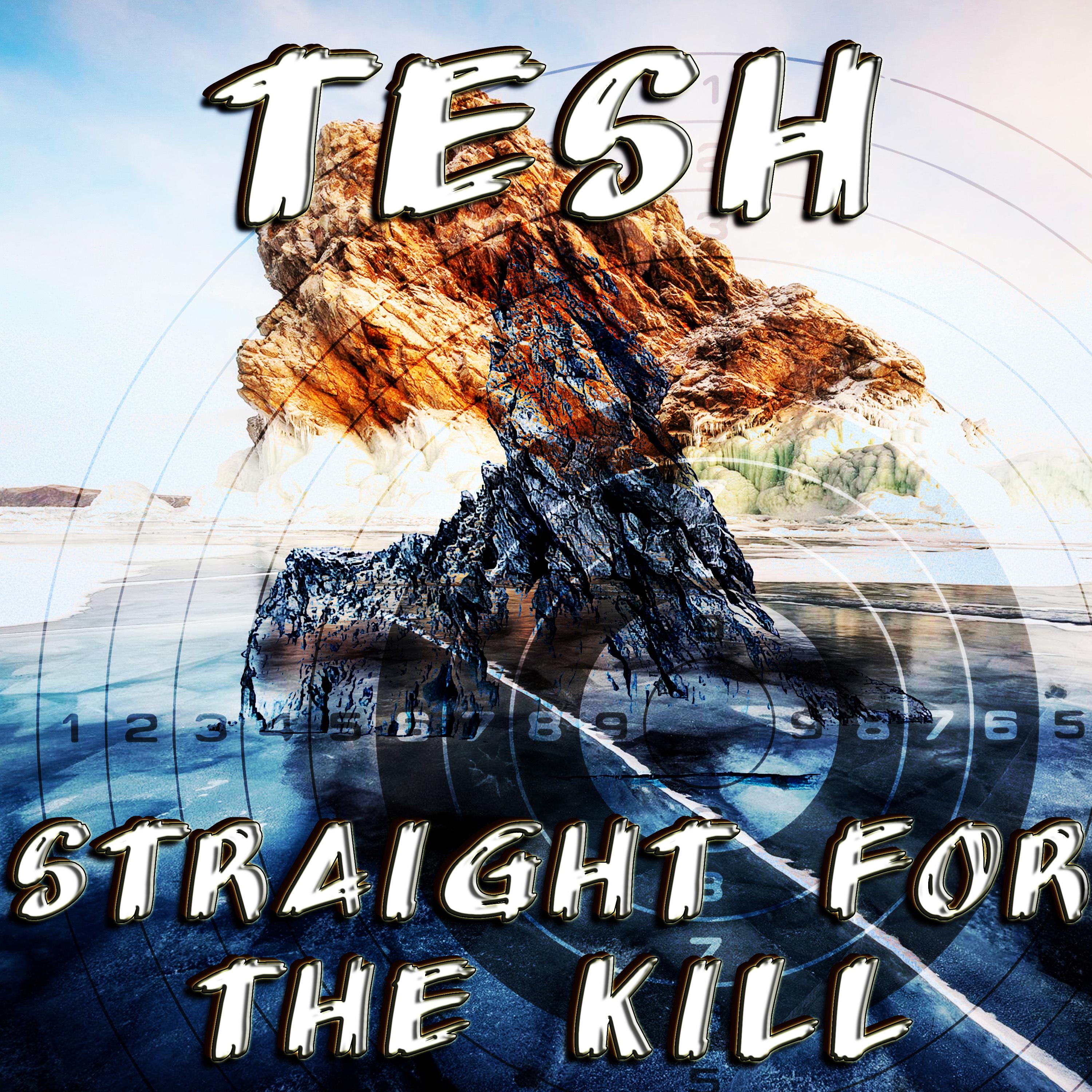 Постер альбома Straight for the Kill