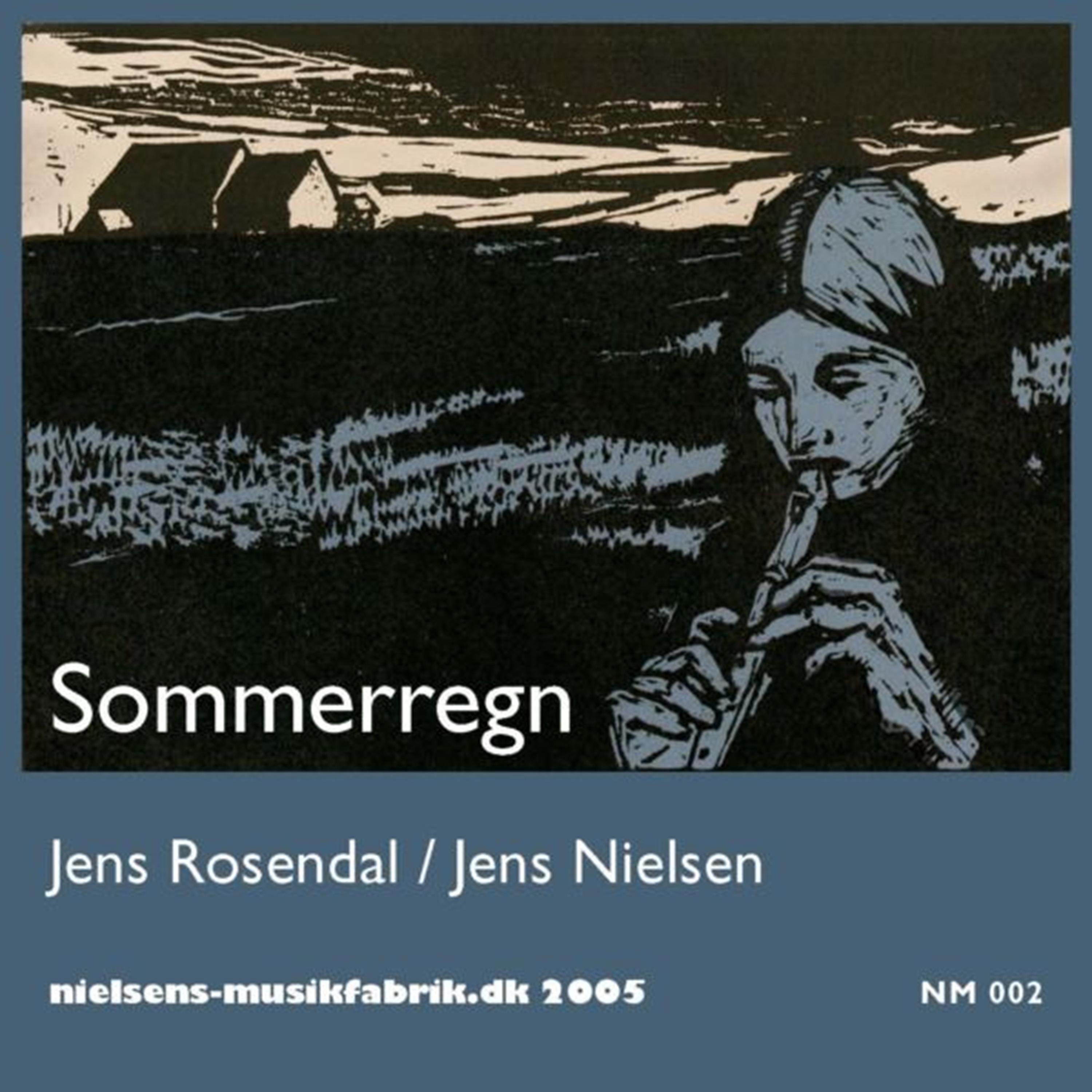 Постер альбома Sommerregn