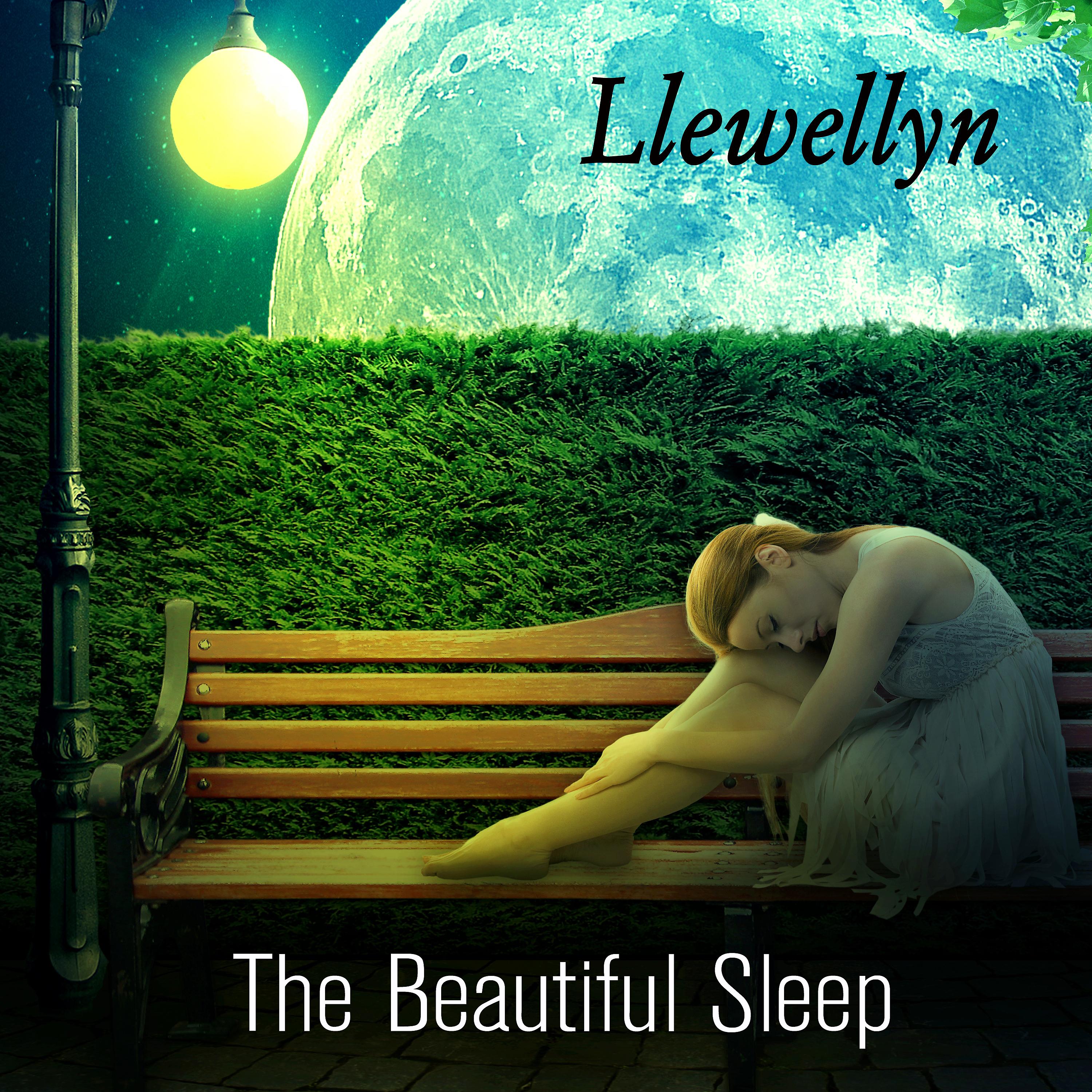 Постер альбома The Beautiful Sleep