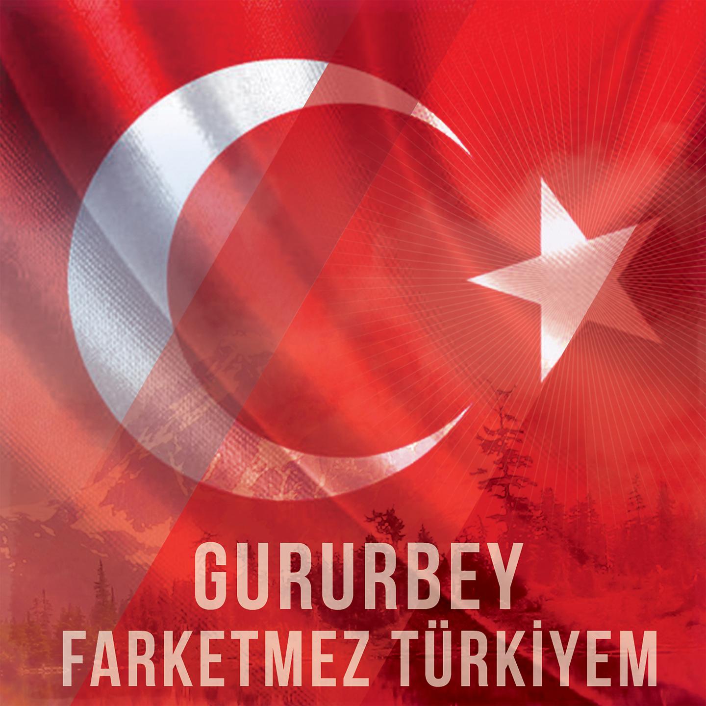 Постер альбома Farketmez Türkiyem