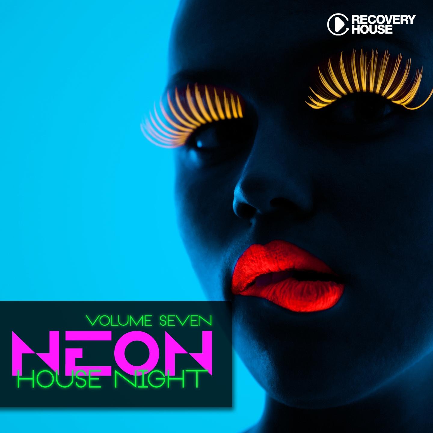 Постер альбома Neon House Night, Vol. 7